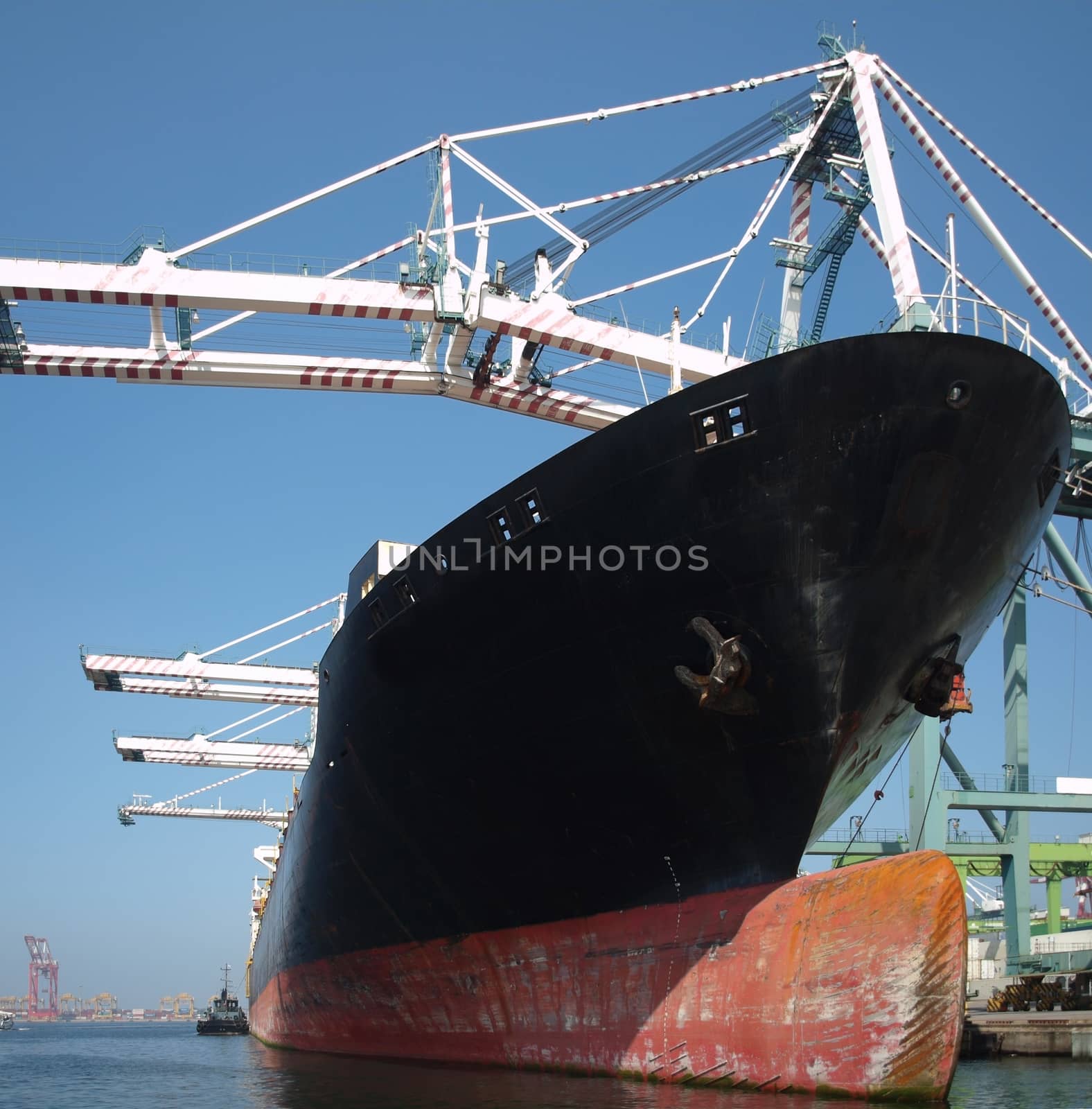 A massive container ship at Kaohsiung port with a bulbous bow