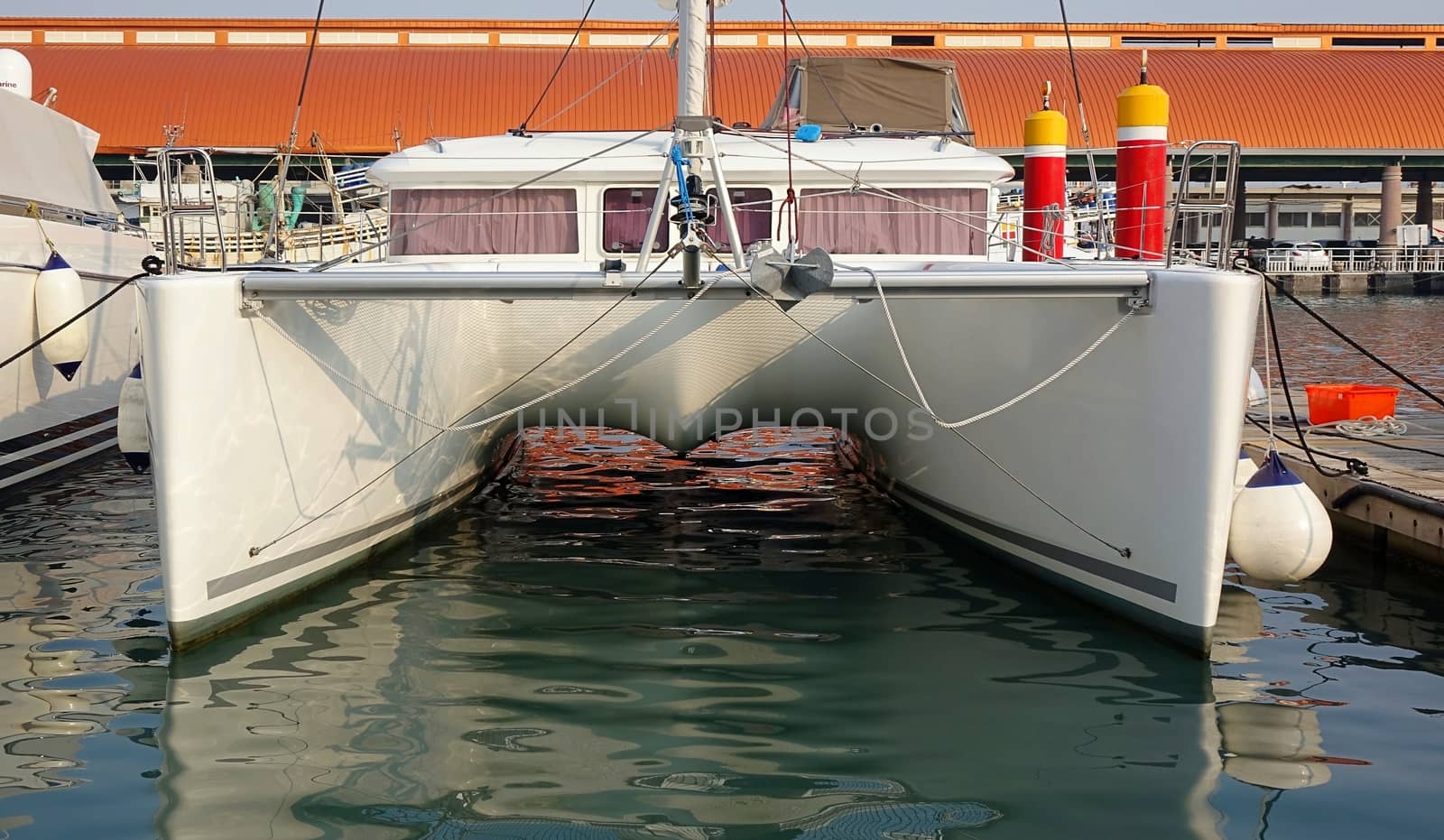 A large catamaran yacht with a double hull is anchored at a marina
