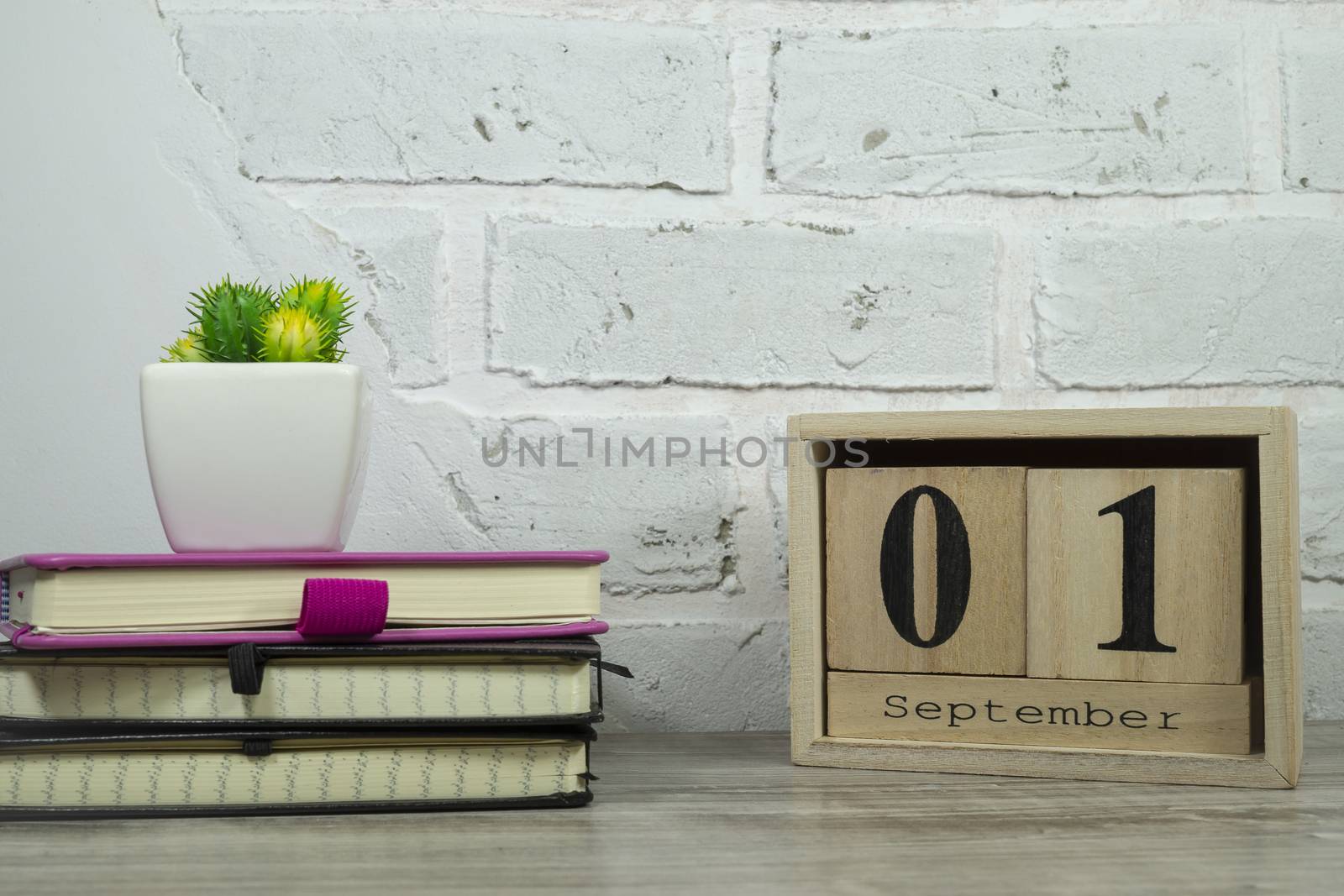 September still life with books, potted plant and rustic sign for the month against a white brick wall