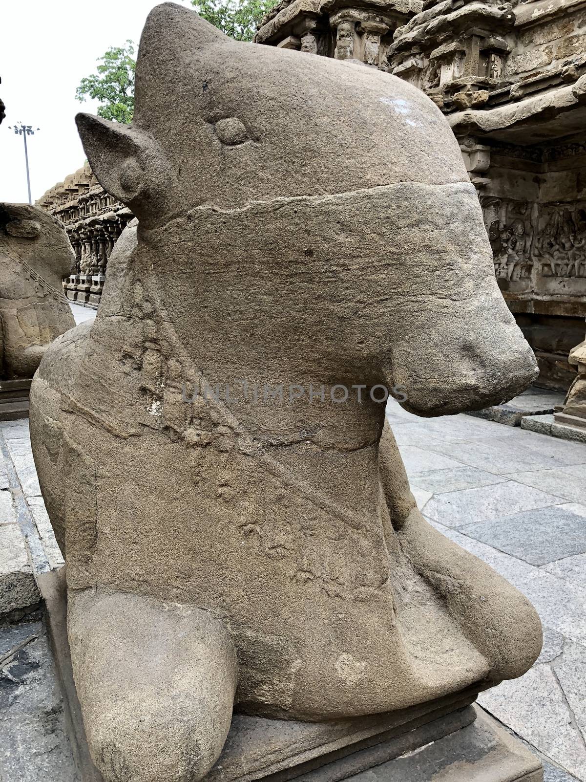 The Kanchi Kailasanathar temple located in Kancheepuram is one of the oldest structure built by Narasimhavarman-II in 700AD. This is the Hindu temple built in Tamil architectural style of Pallava architecture. The sandstone compound contains many sculpture carvings mainly half animal deities and 58 small shrines which is dedicated to lord shiva.