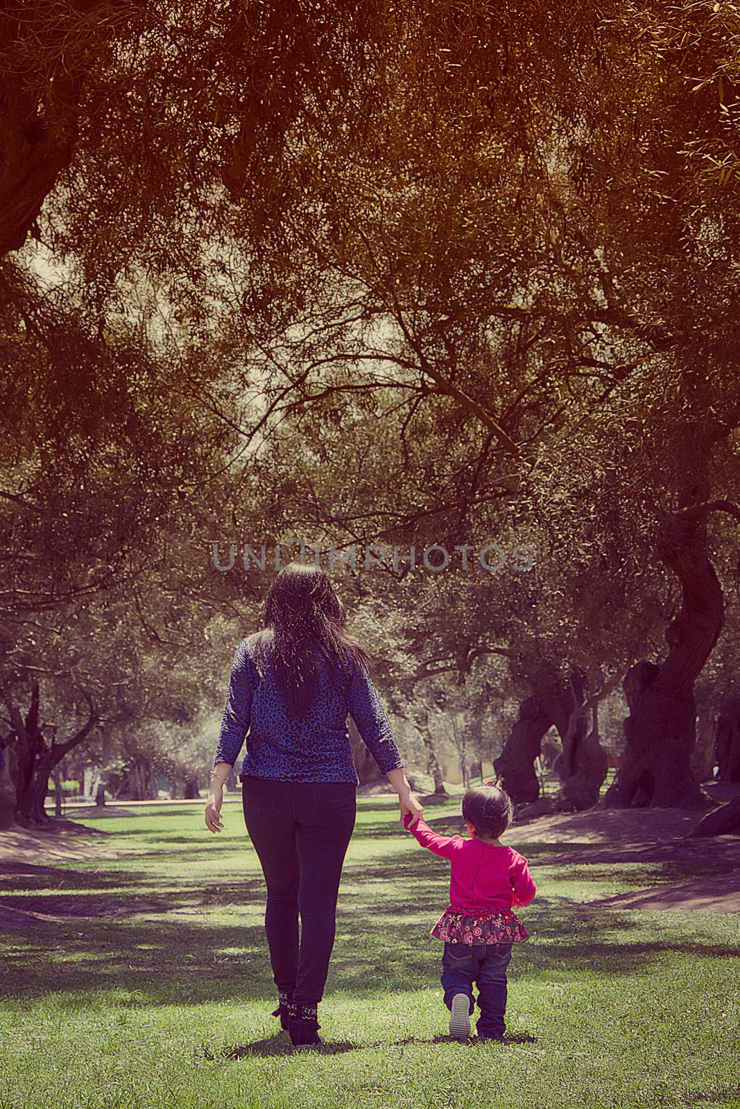 Mother and daughter walking on their backs in a park