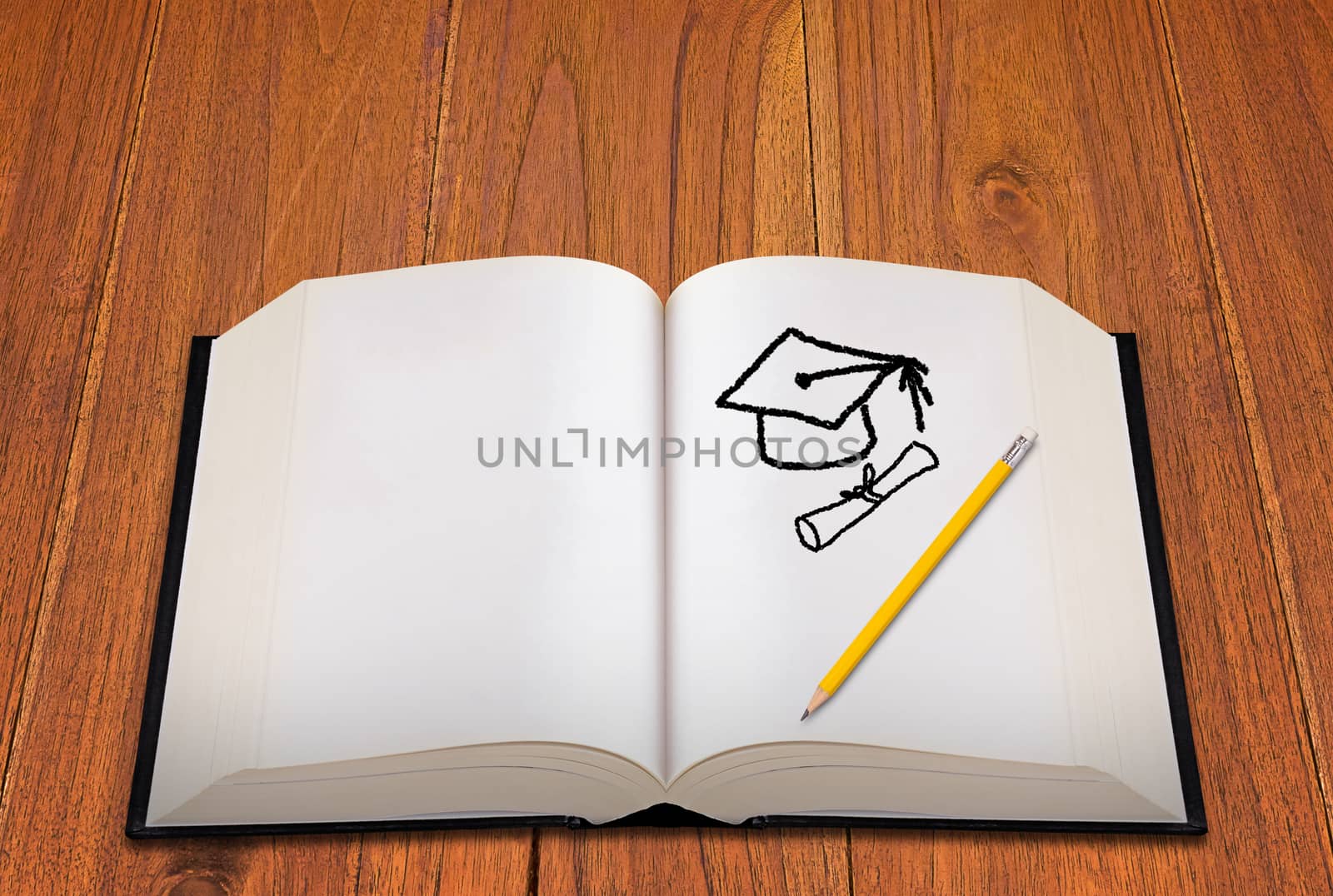 Education concept, knowledge management, graduate degree, learning success