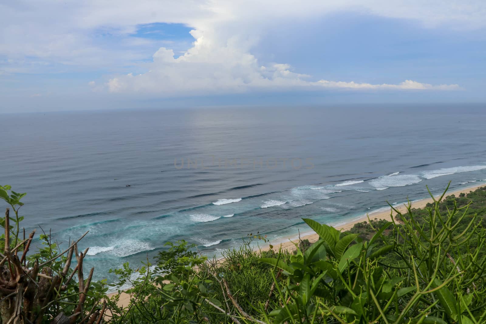 A high cliff off the coast of the Indian Ocean on Bali Island overgrown with dense tropical vegetation. Rainforest at Nyang Nyang beach in Indonesia. Coconut palms lining the foot of a steep slope.