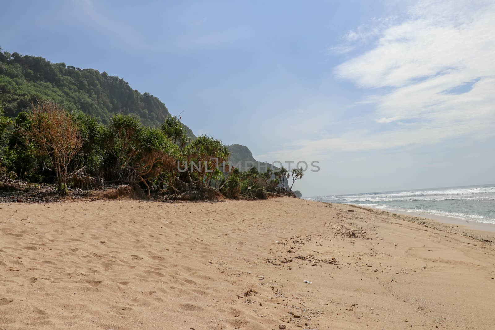 Virgin beach with fine yellow sand on Bali island. Tropical paradise with Nyang Nyang beach with high cliff on background. Wild waves are approaching the shore in rows. Sea foam in rolling waves.