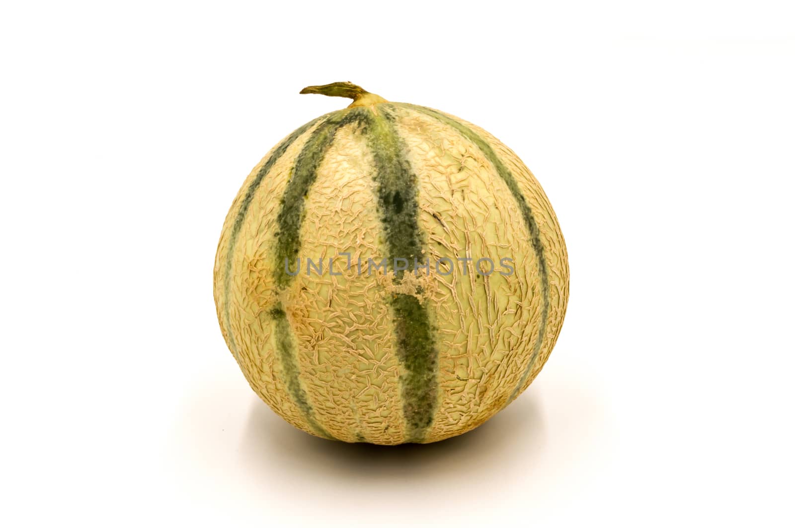 Close-up of a melon on a white background