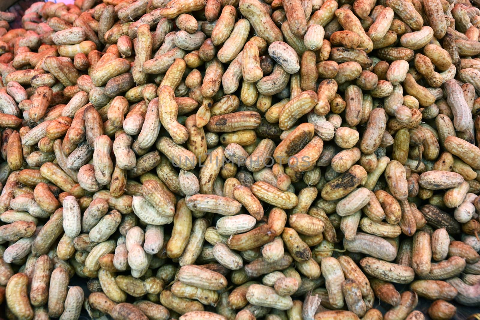 A pile of roasted peanuts in their shells