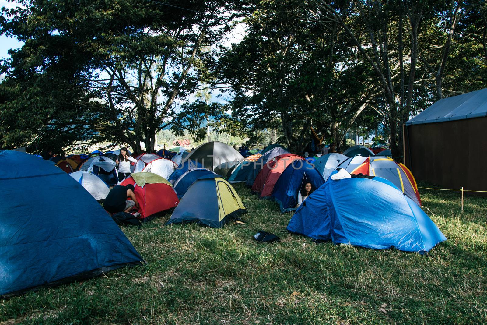 Camp at the Selvamonos Festival in Oxapampa