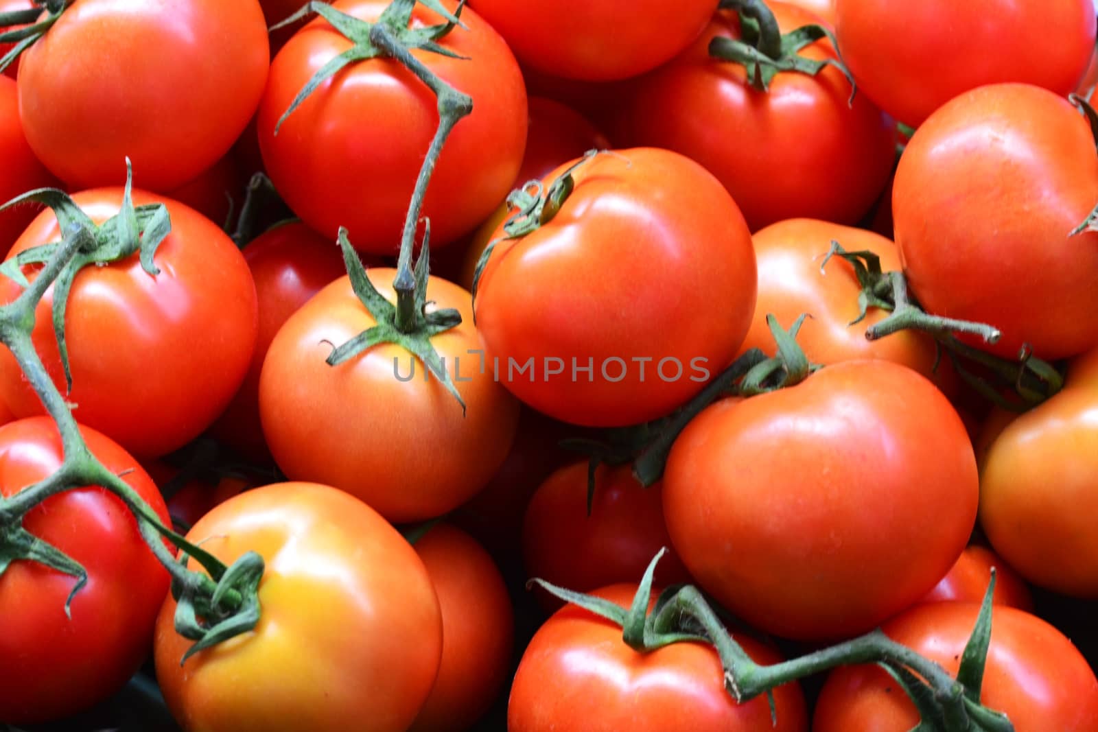 tomatoes by ideation90