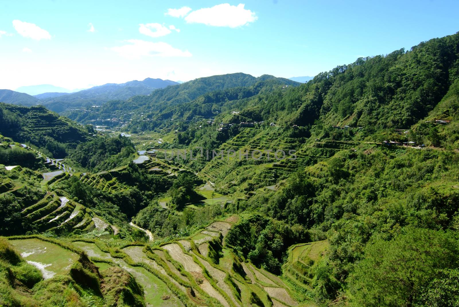 Rice terraces in the Philippines. The village is in a valley among the rice terraces. Rice cultivation in the North of the Philippines Batad Banaue.