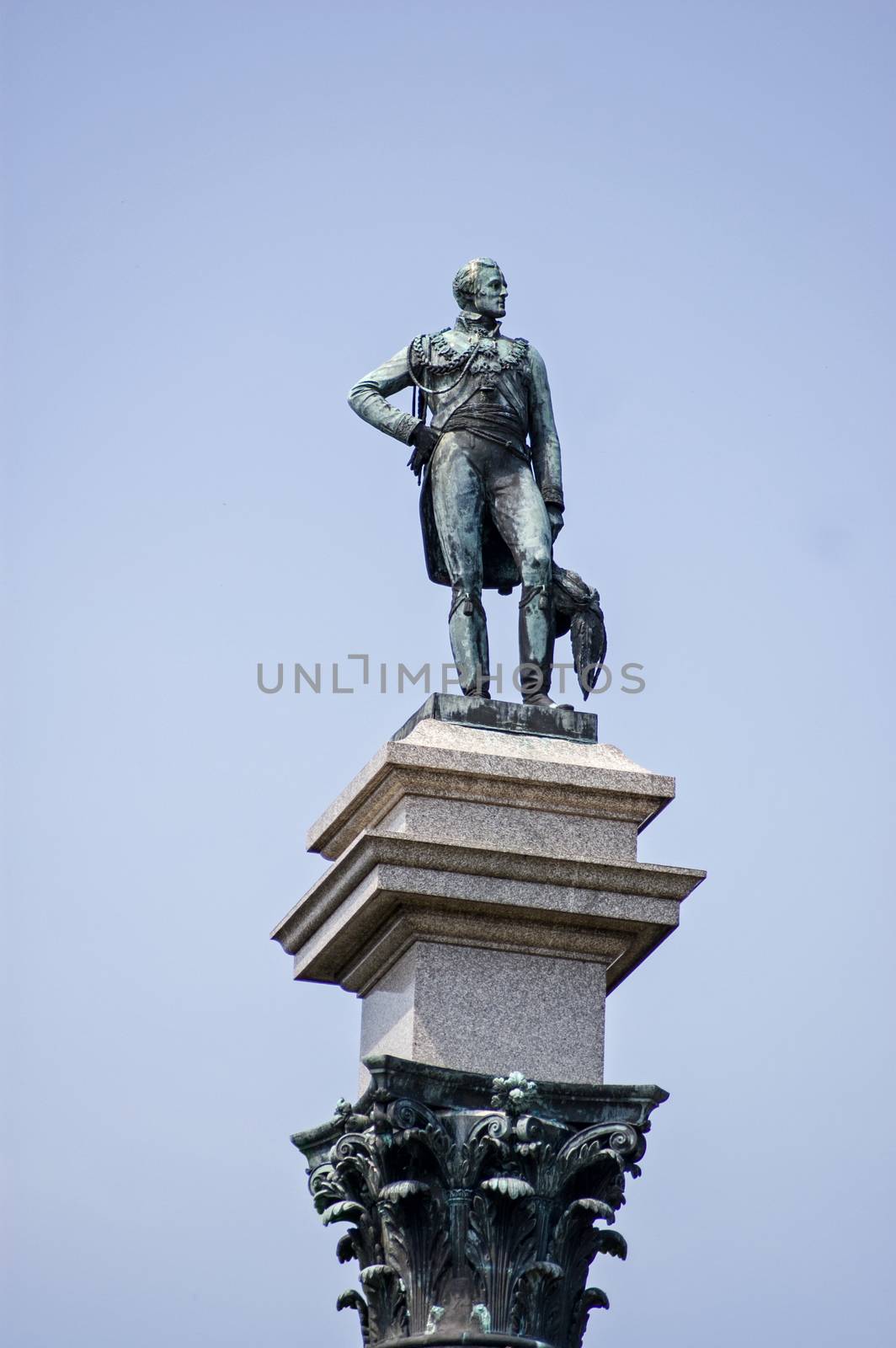 Duke of Wellington Statue, Stratfield Saye, Hampshire by BasPhoto