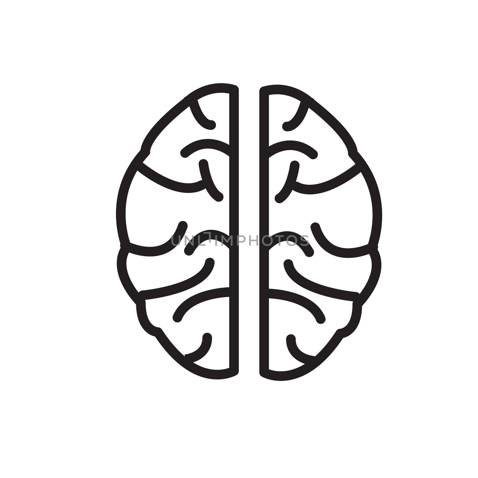 brain icon on white background. brain icon sign.  flat style. brain icon for your web site design, logo, app, UI.