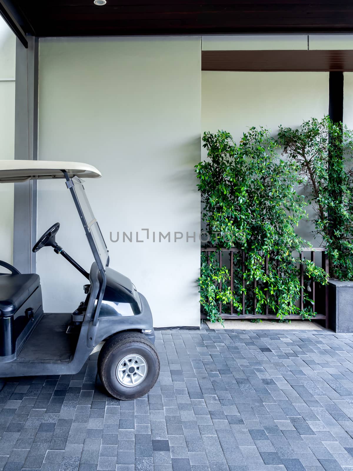 Black golf cart or golf buggy car in the hotel service for customer, vertical style.