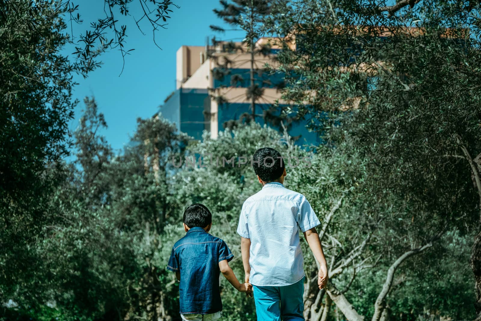 Two brothers walking among the trees of a forest