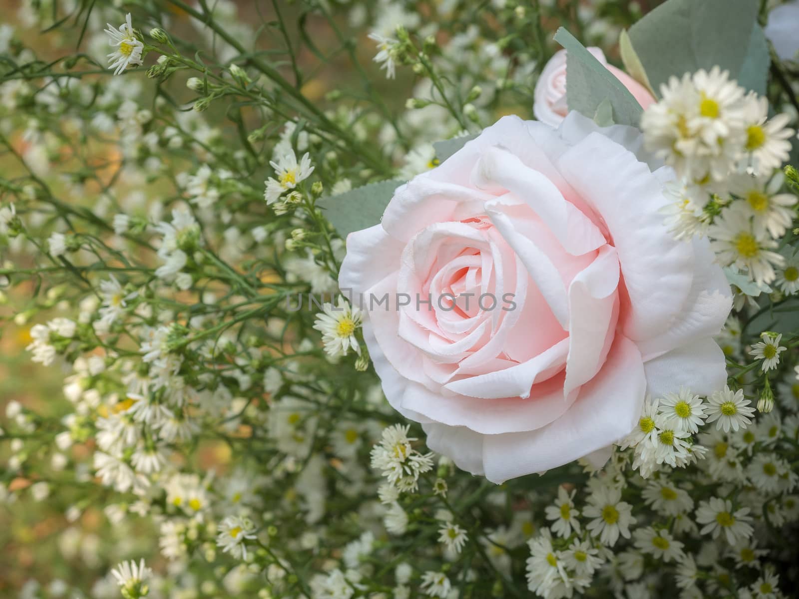 Beauty pink rose ornament with white little flowers on green leaves background, soft vintage tone.