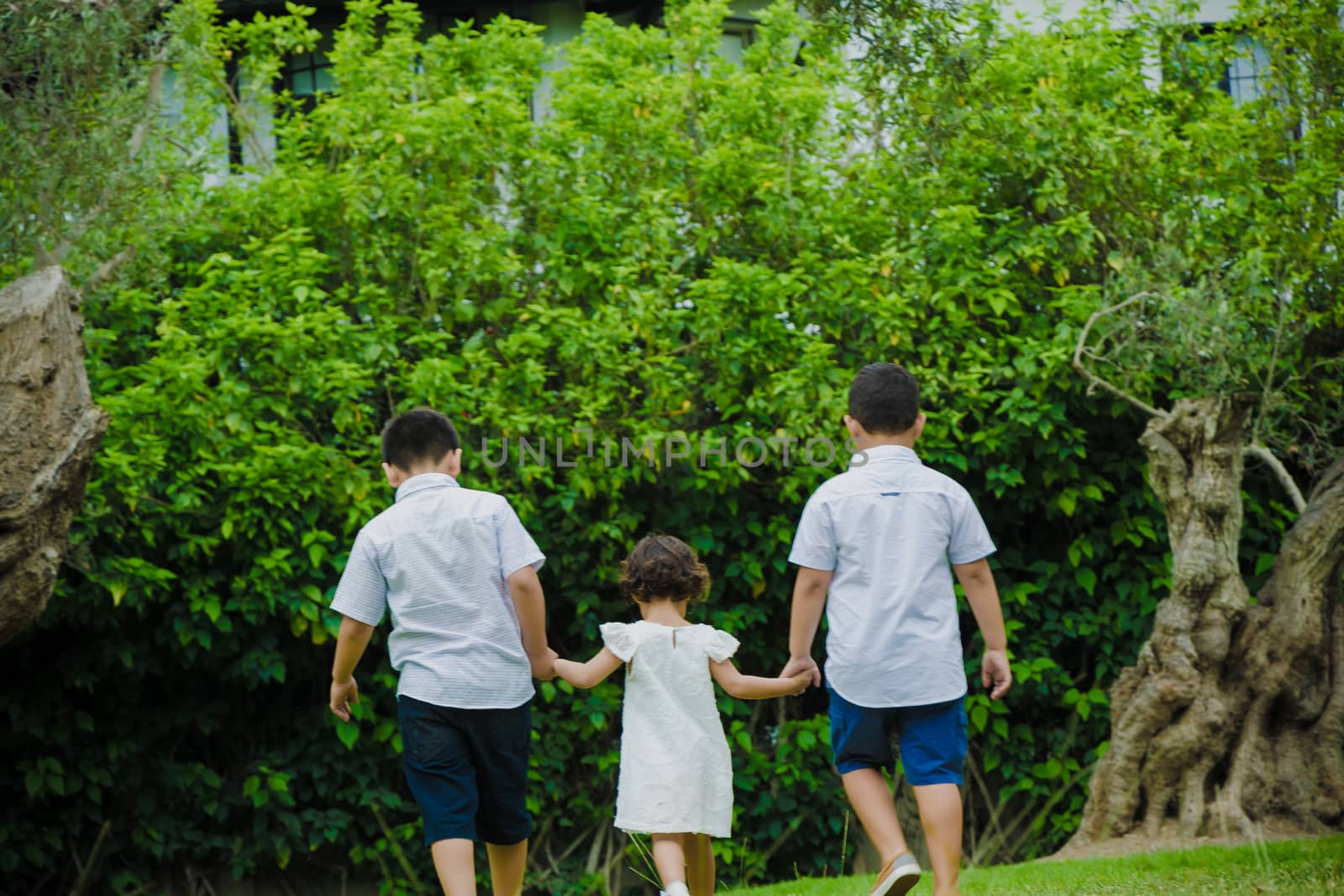 Three brothers walking hands in the woods