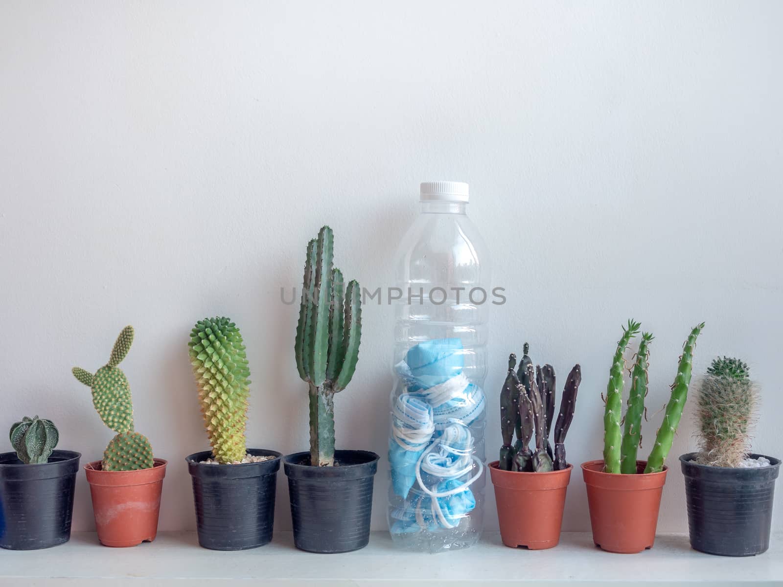 Used mask concept. Folded used protective face mask in plastic bottle with cactus plant on shelf. Protection before littering for prevent spread of virus.