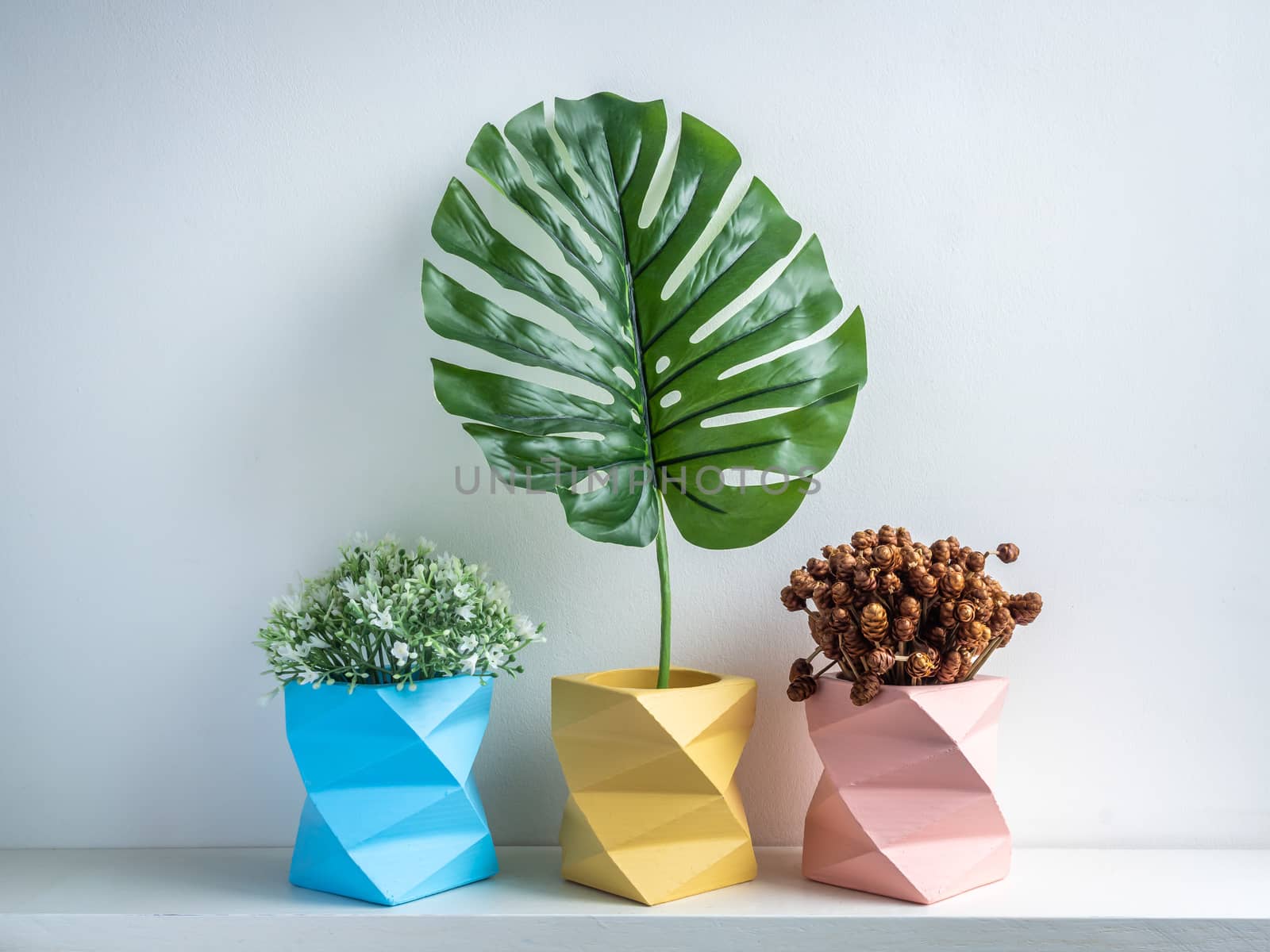 Cactus pot. Concrete pot. Three empty blue, pink and yellow modern geometric concrete planters with flowers, green leaf and dry flower on white wooden shelf isolated on white background.