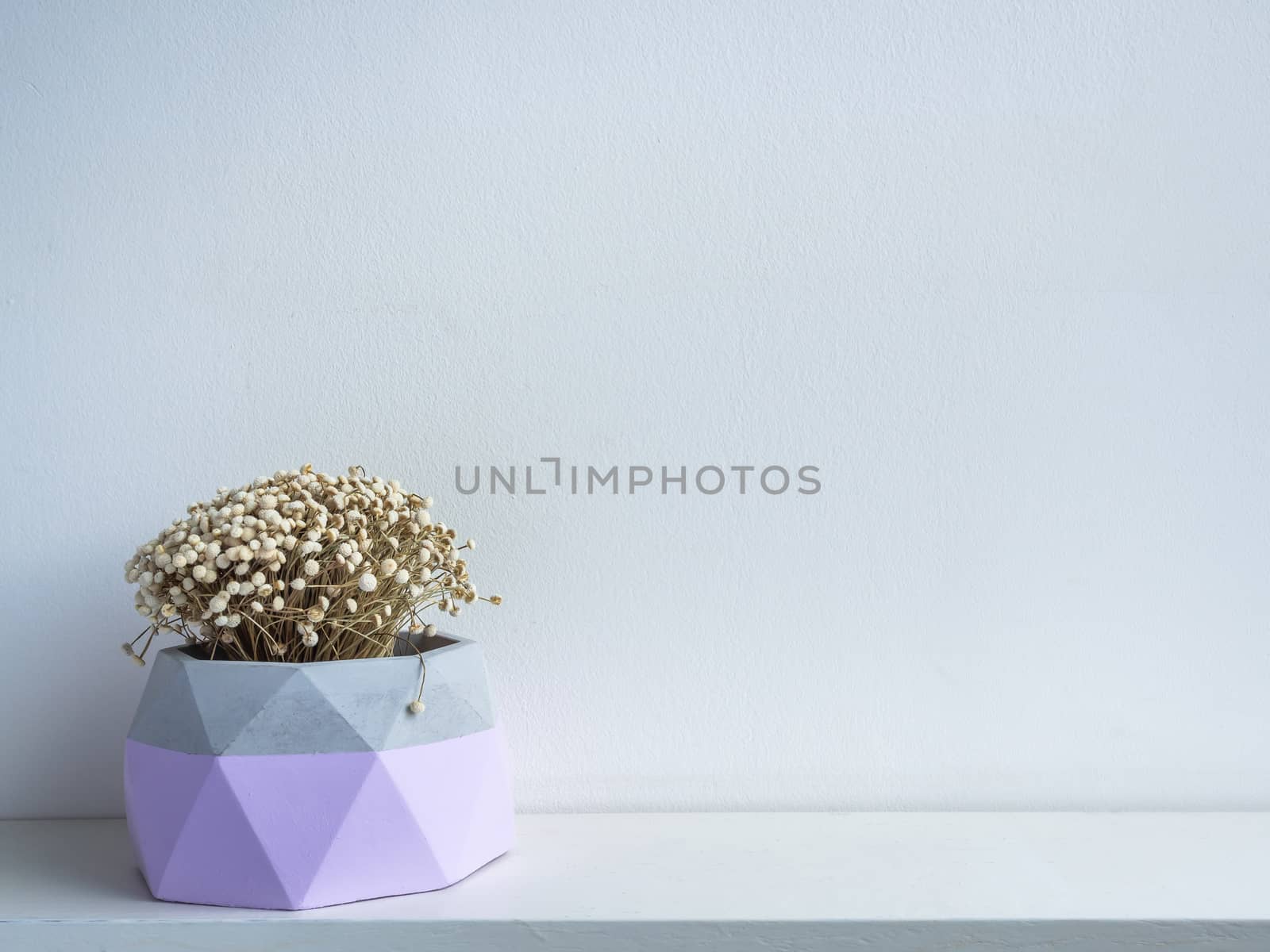 Cactus pot. Concrete pot. Purple modern geometric concrete planters with dry flowers on white wooden shelf isolated on white background with copy space.