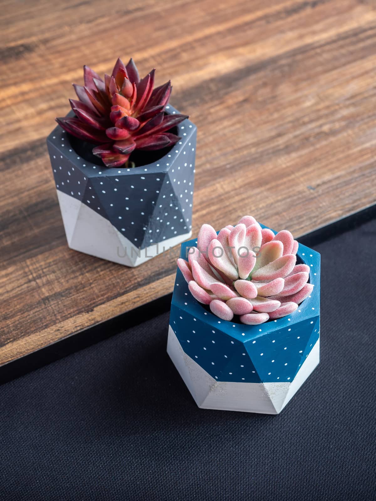 Cactus pot. Concrete pot. Blue and grey painted modern geometric concrete planters with pink and red succulent plants on wooden table, top view vertical style.