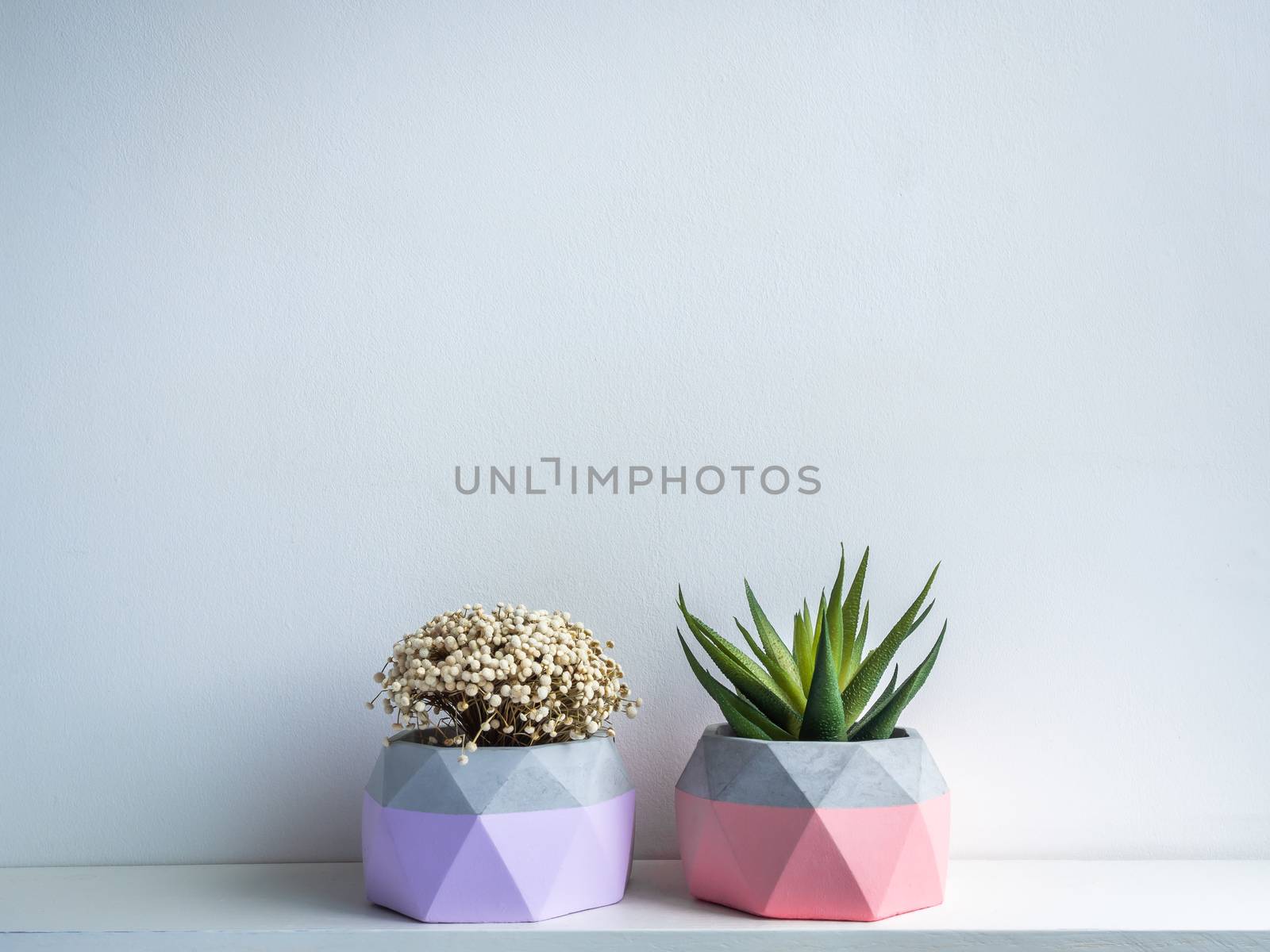 Cactus pot. Concrete pot. Two pink and purple modern geometric concrete planters with green succulent and flower on white wooden shelf isolated on white background.