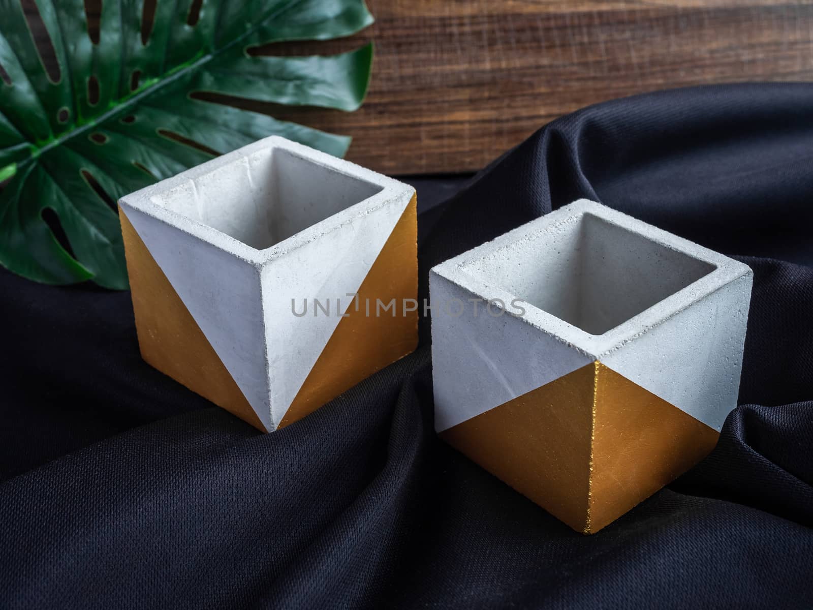 Cactus pot. Concrete pot. Two empty modern geometric concrete planters with gold painted and green leaf on black fabric and wooden background.