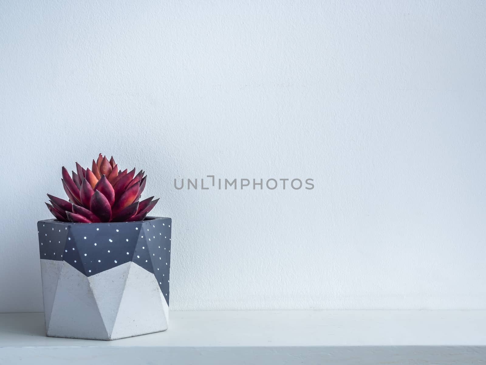 Cactus pot. Concrete pot. Grey painted modern geometric concrete planter with red succulent plant on white wooden shelf isolated on white background with copy space.