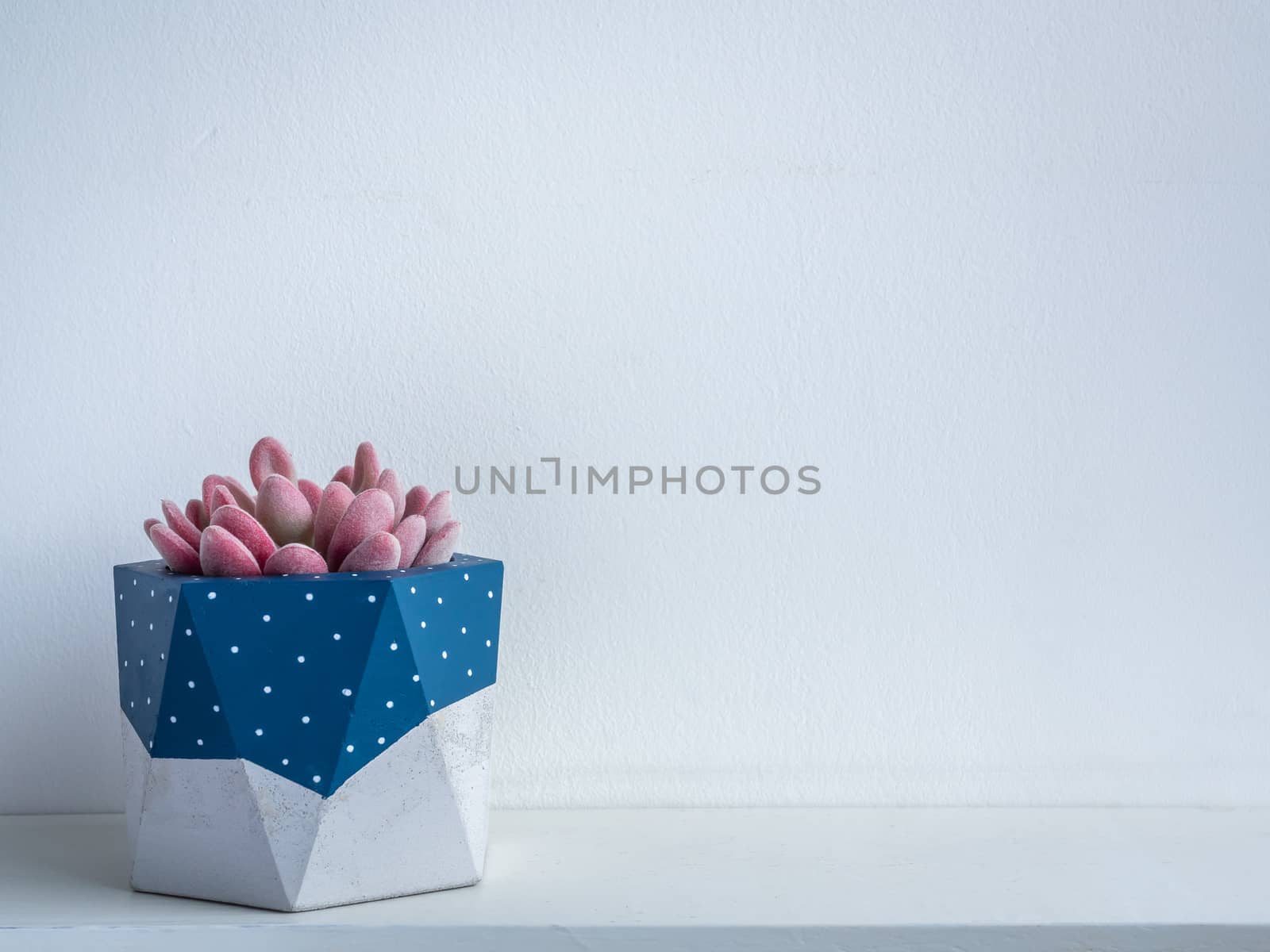 Cactus pot. Concrete pot. Modern geometric concrete planter. by tete_escape