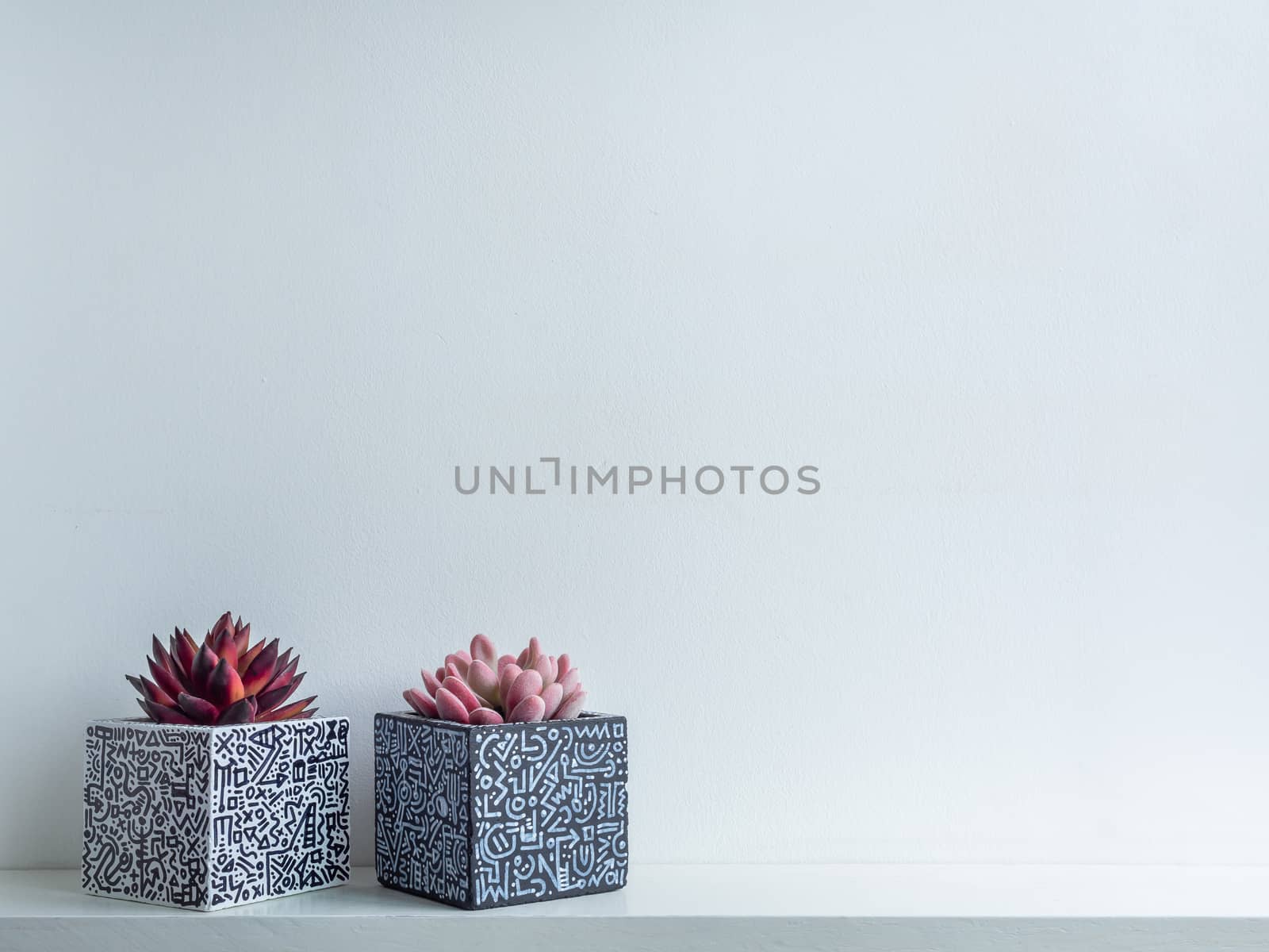 Cactus pot. Concrete pot. Empty white with modern graphic pattern geometric concrete planters with succulent plants on white wooden shelf isolated on white wall background with copy space.