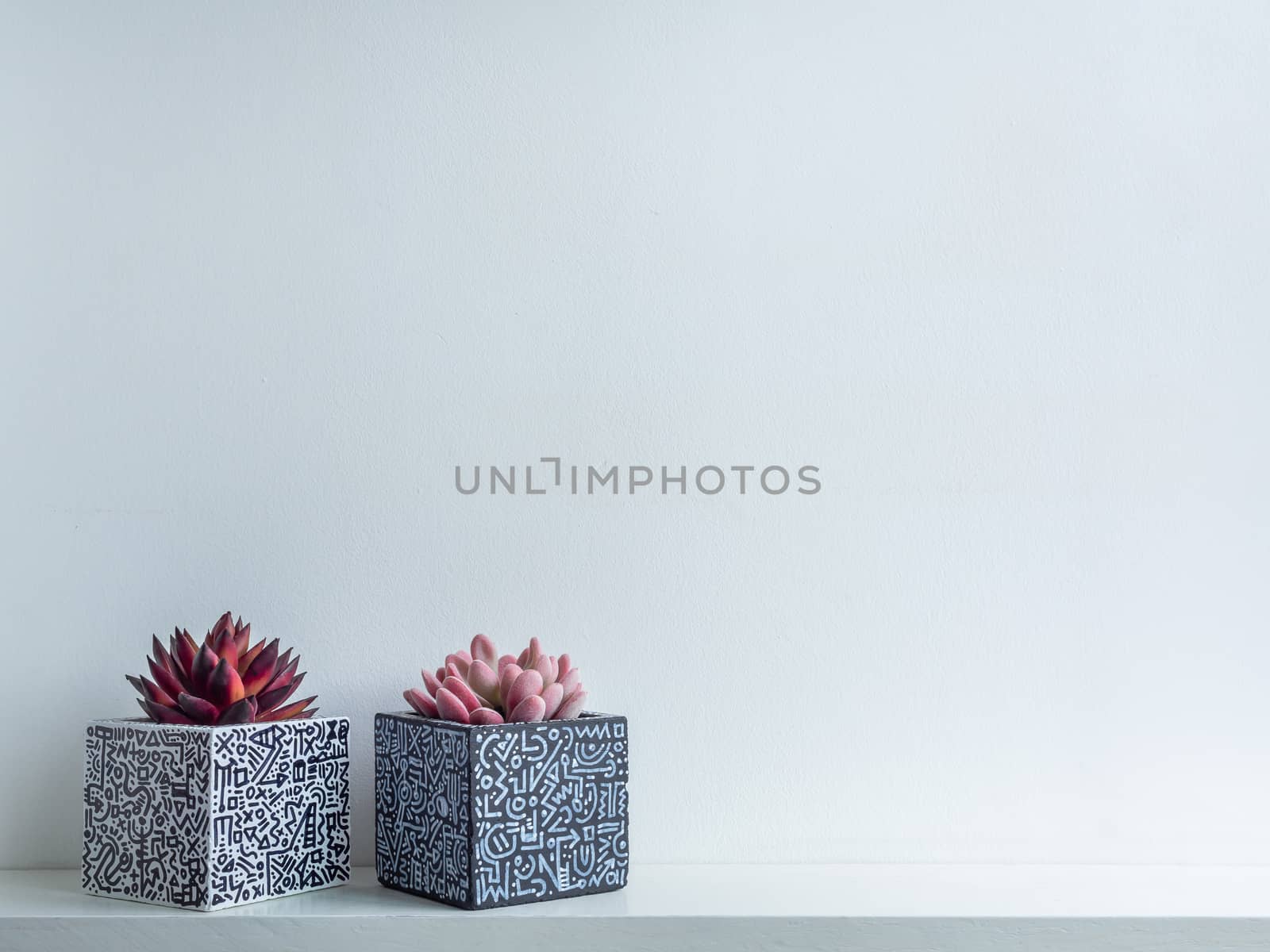 Cactus pot. Concrete pot. Modern geometric concrete planter. by tete_escape