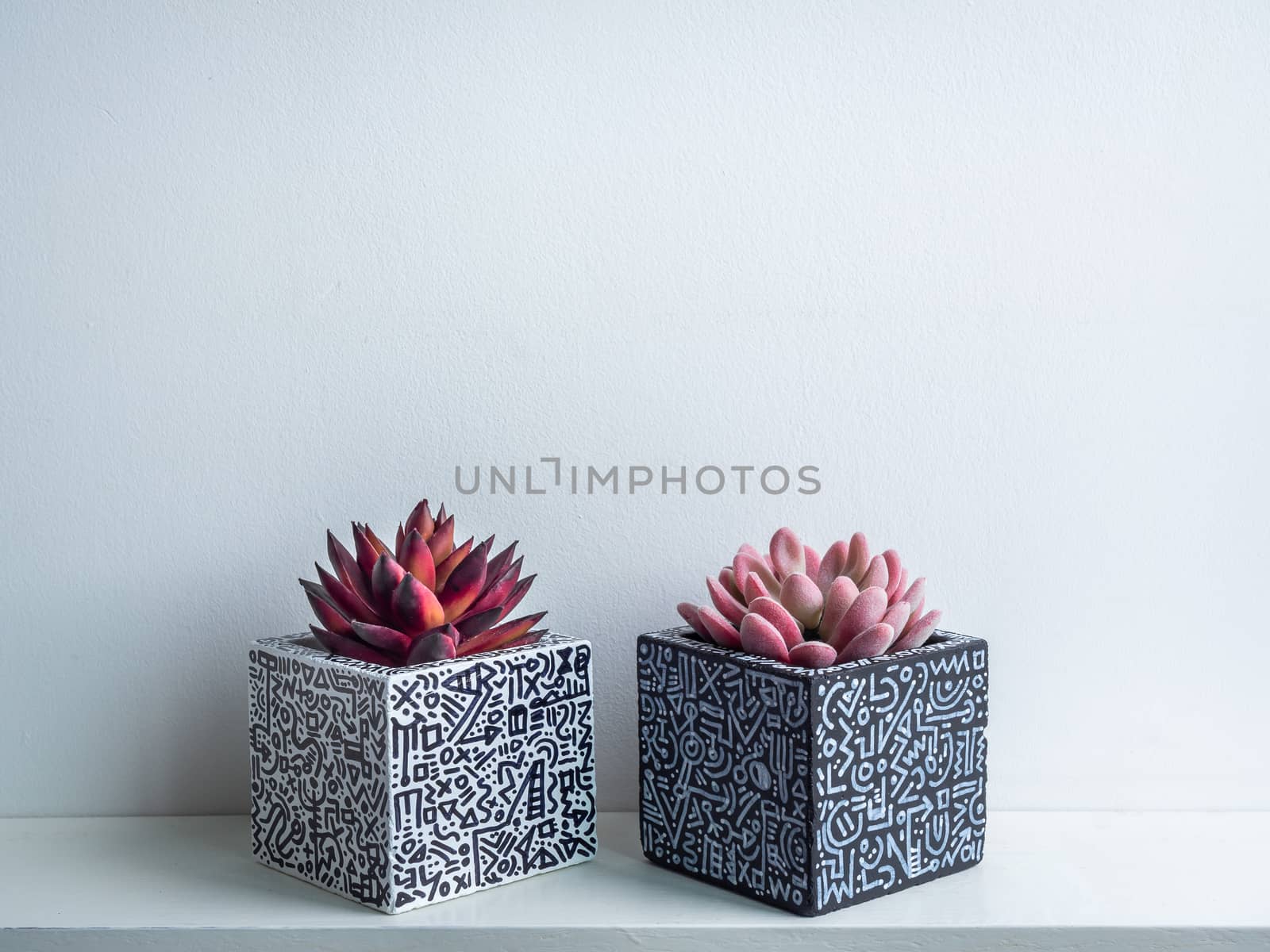Cactus pot. Concrete pot. Empty white with modern graphic pattern geometric concrete planters with succulent plants on white wooden shelf isolated on white wall background.