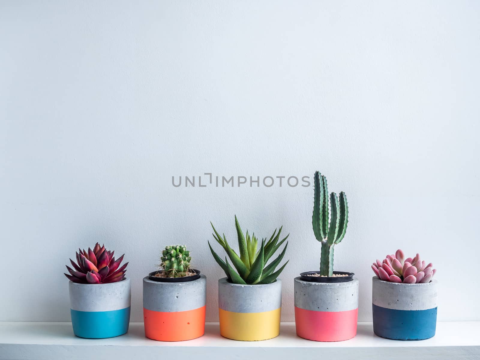 Cactus pot. Concrete pot. Modern geometric concrete planter. by tete_escape