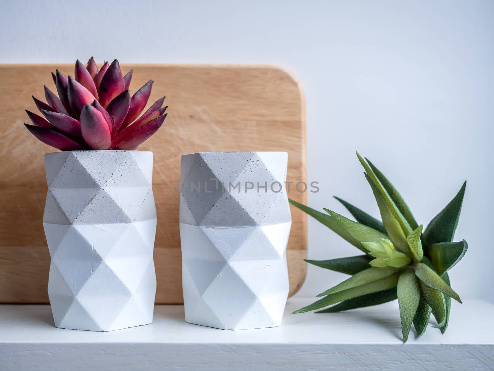 Cactus pot. Concrete pot. Modern geometric concrete planter. by tete_escape