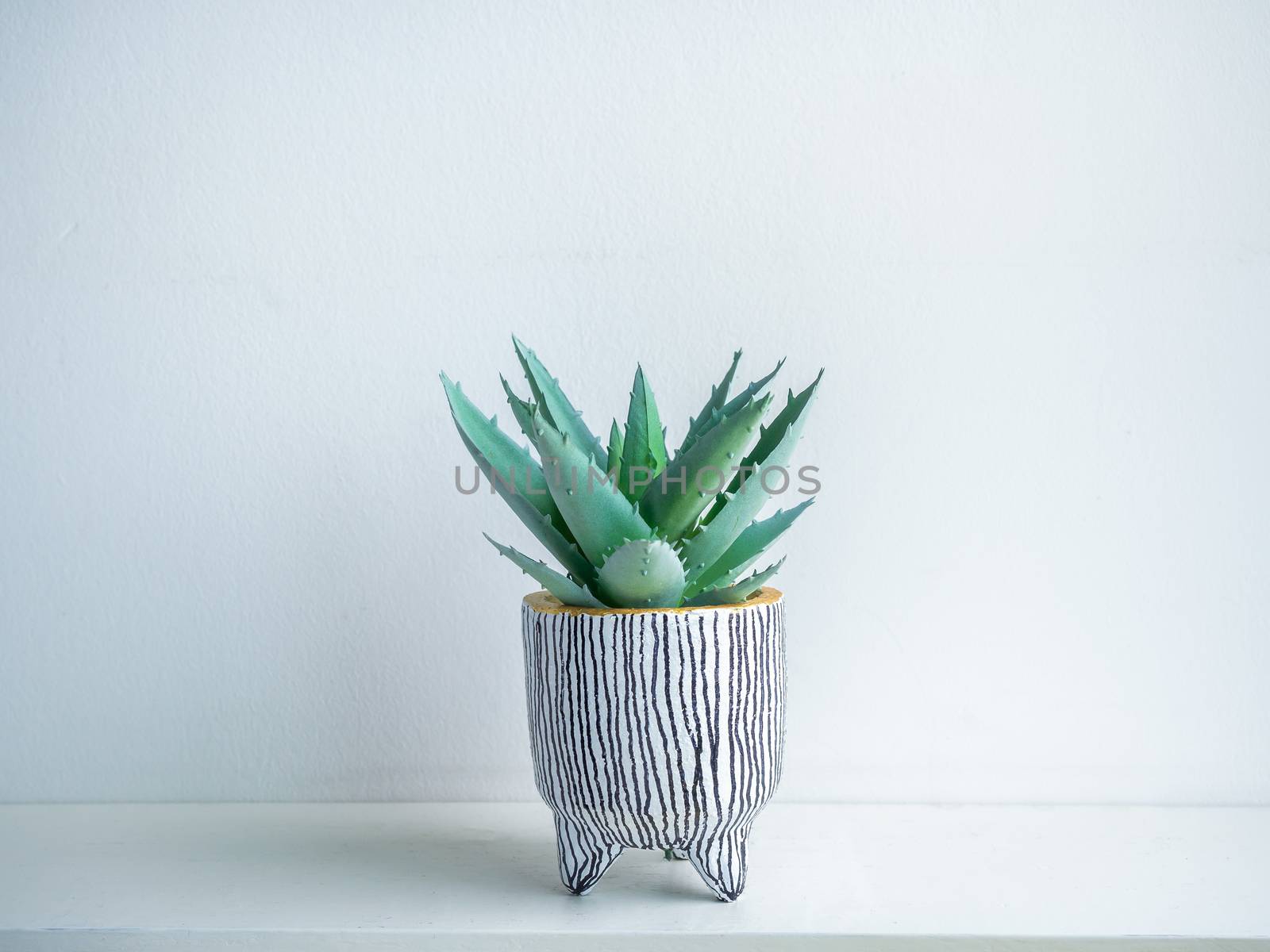 Cactus pot. Concrete pot. Cute small white concrete planter with green succulent plant on white wooden shelf isolated on white background.