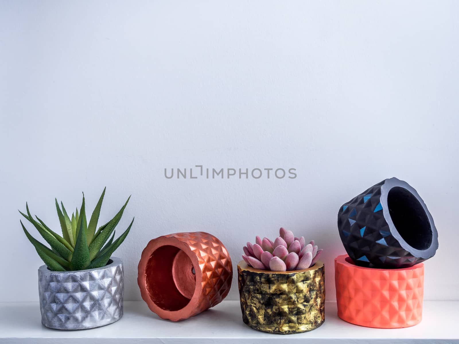 Cactus pot. Concrete pot. Various colorful concrete planters with succulent plants on white wooden shelf isolated on white background with copy space.