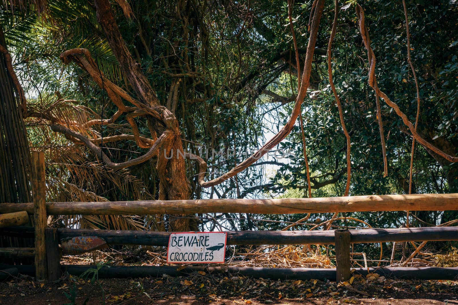 Crocodiles warning sign near Chobe National Park in Botswana by nickfox