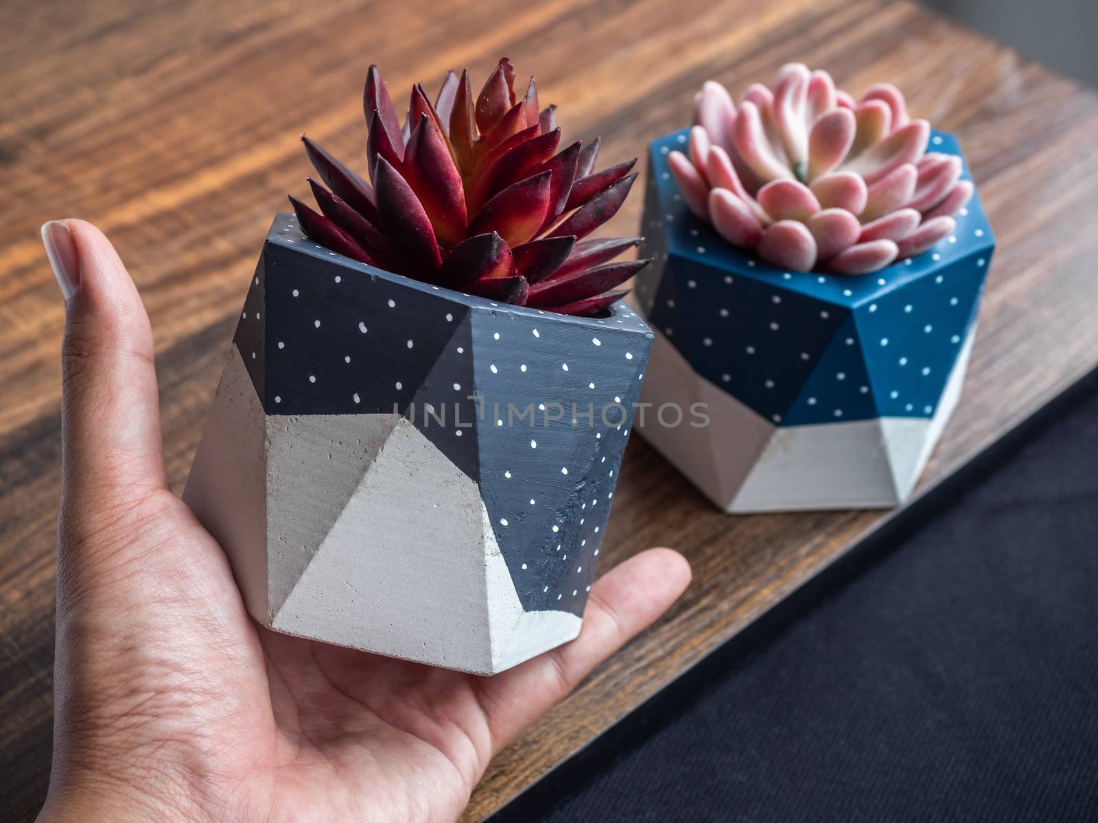 Cactus pot. Concrete pot. Hand holding grey painted modern geometric concrete planters with red succulent plant.