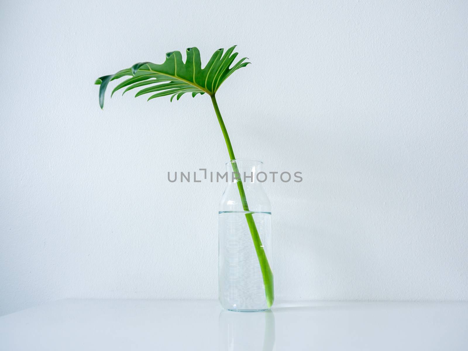 White cafe decoration minimal style. Glass bottle with palm leaf by tete_escape