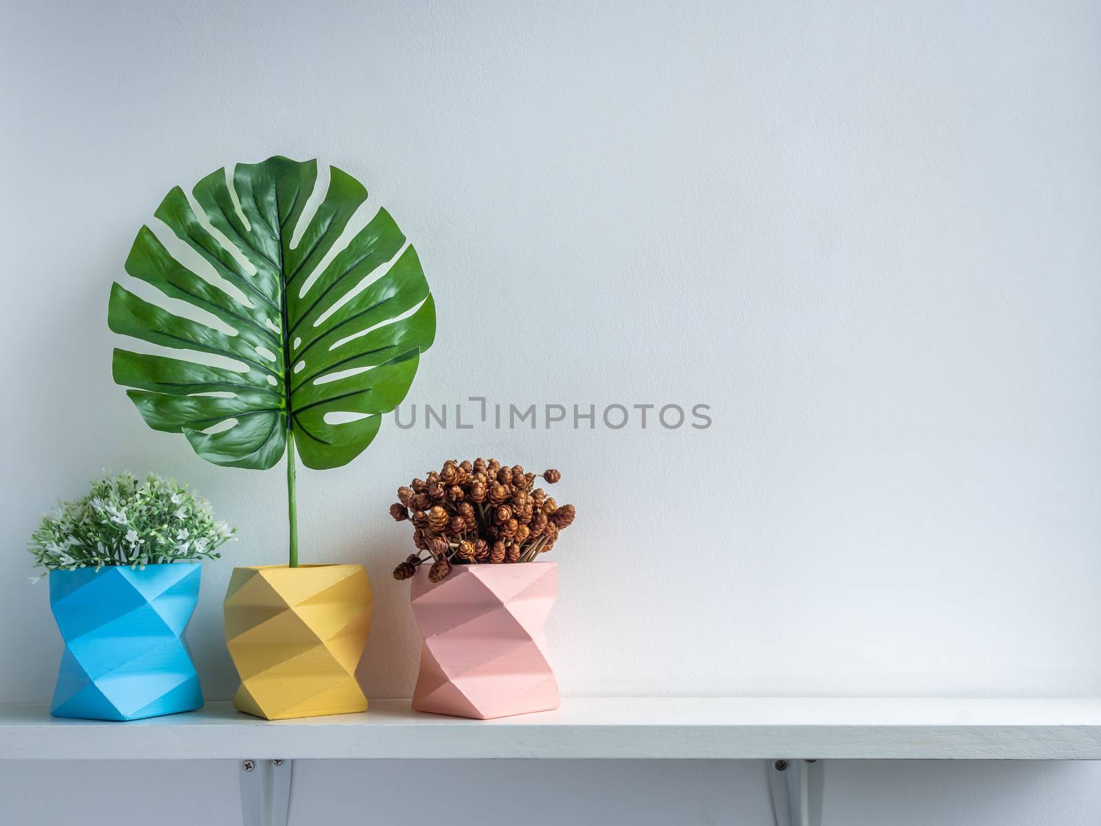 Cactus pot. Concrete pot. Three empty blue, pink and yellow modern geometric concrete planters with flowers, green leaf and dry flower on white wooden shelf isolated on white background with copy space.