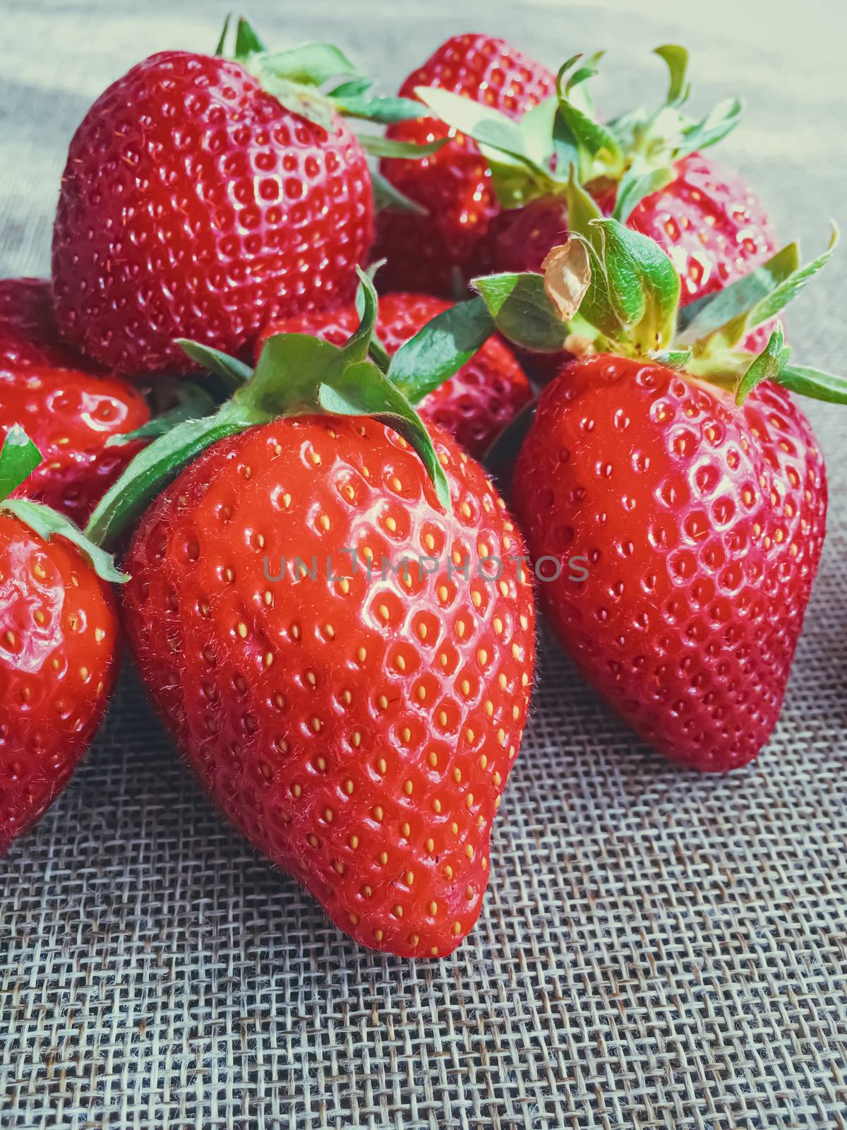 Organic strawberries on rustic linen background, fruit farming and agriculture