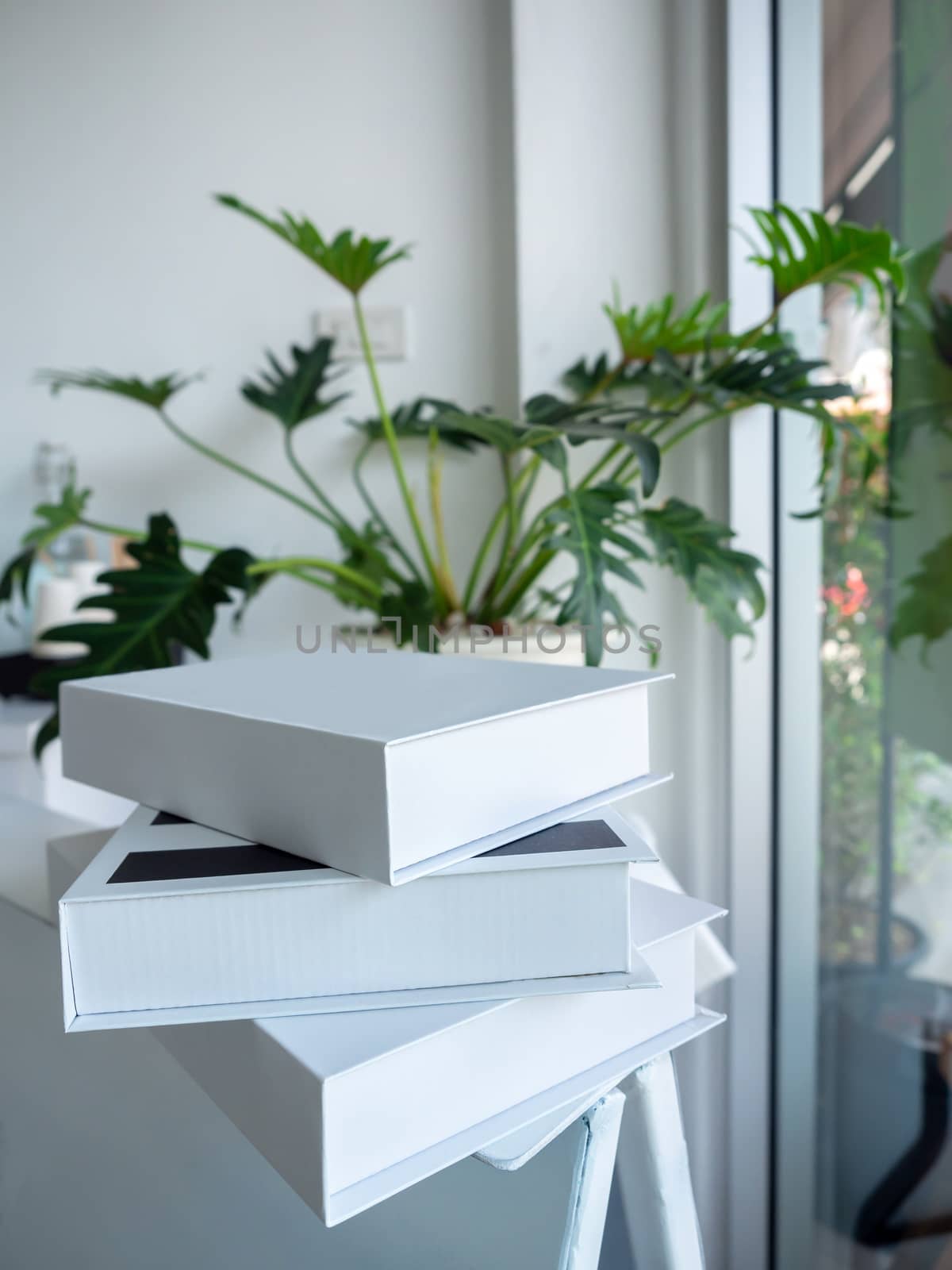 stack of white books on white shelf near green leaves in pot and glass window in white cafe background minimal style, vertical style.