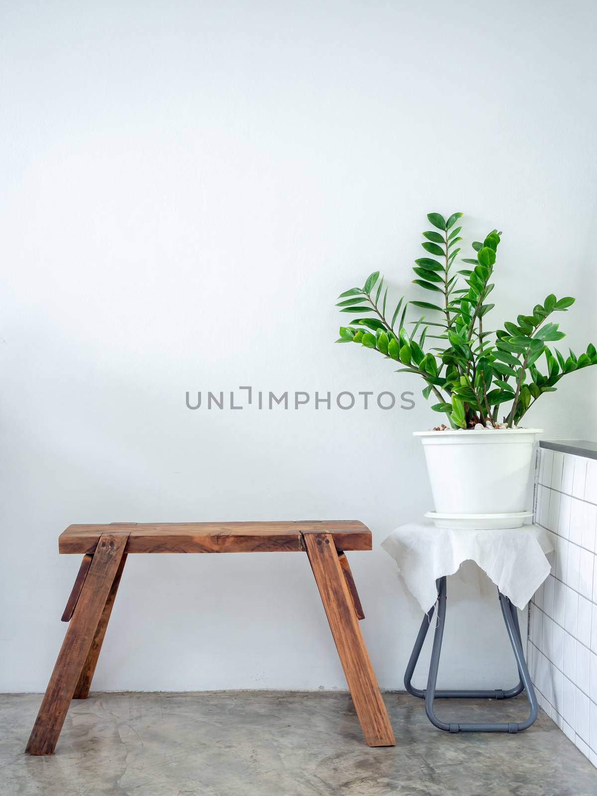 White cafe decoration minimal style. Green leaves in white pot and wooden bench on white wall background vertical style.