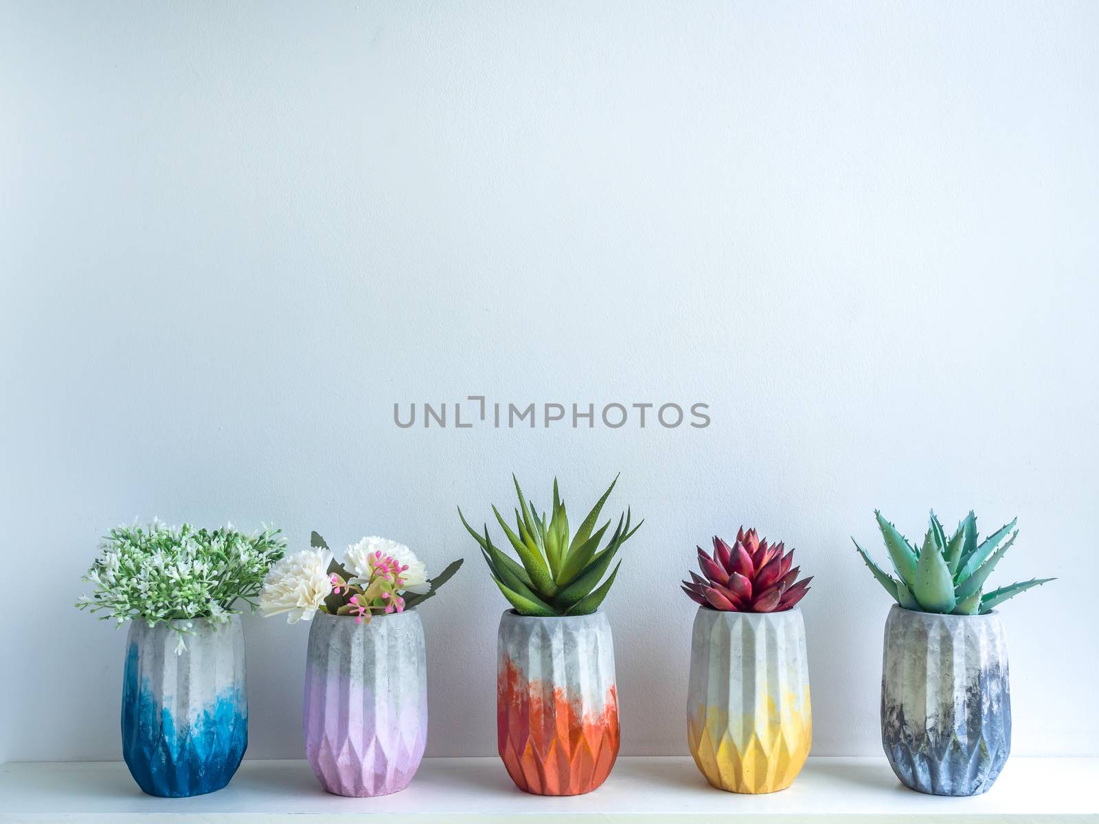 Cactus pot. Concrete pot. Colorful concrete planters with flowers and succulent plants on white wooden shelf isolated on white background with copy space.