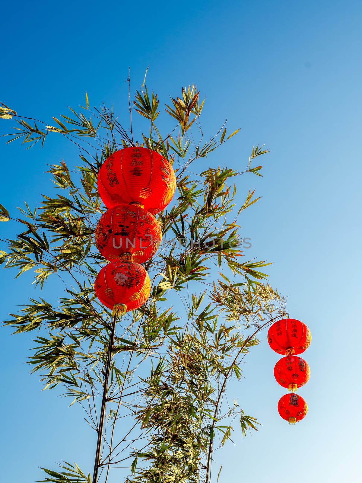 Red Chinese hanging lanterns on bamboo tree on blue sky background,  decoration for Chinese New Year vertical style. The text on lantern is meant as a greeting.