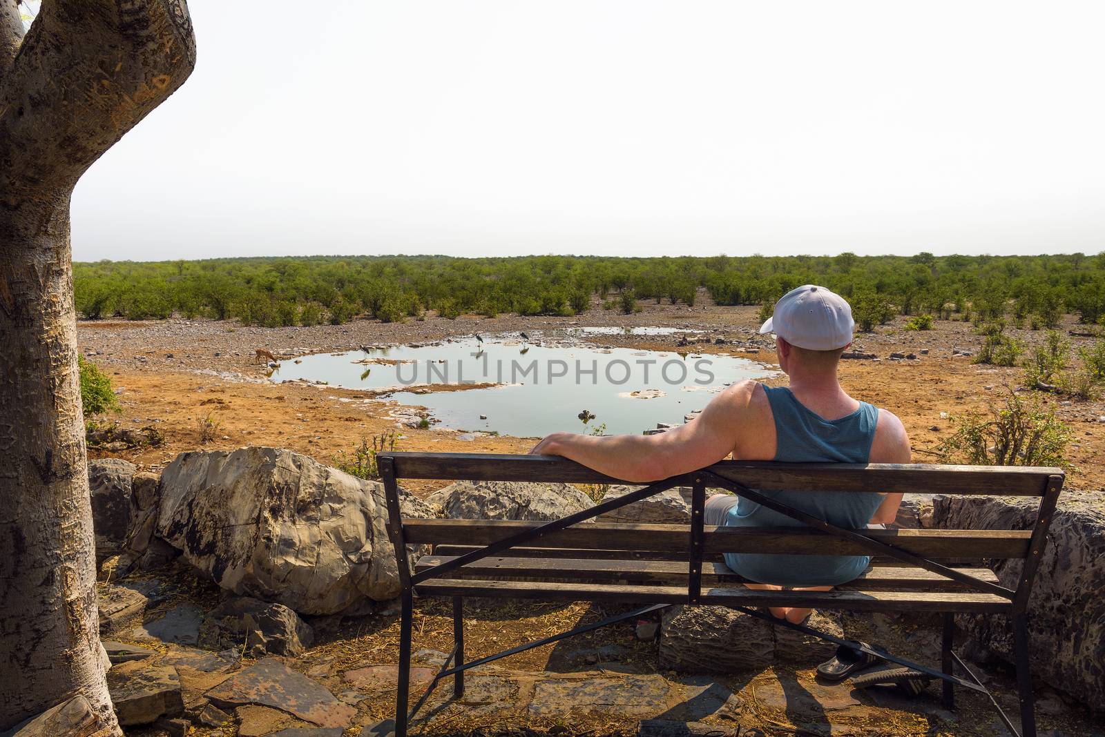 Tourist waits for wildlife at the Moringa waterhole near Halali, Etosha, Namibia by nickfox