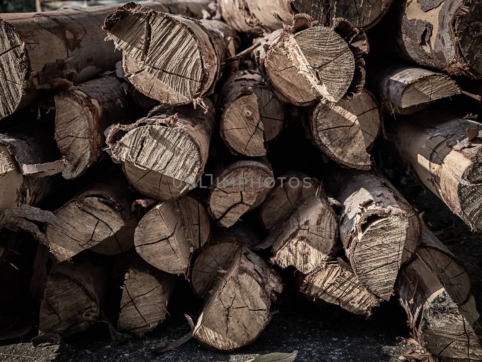 Piles of tree cut trunks background. Deforestation concept.