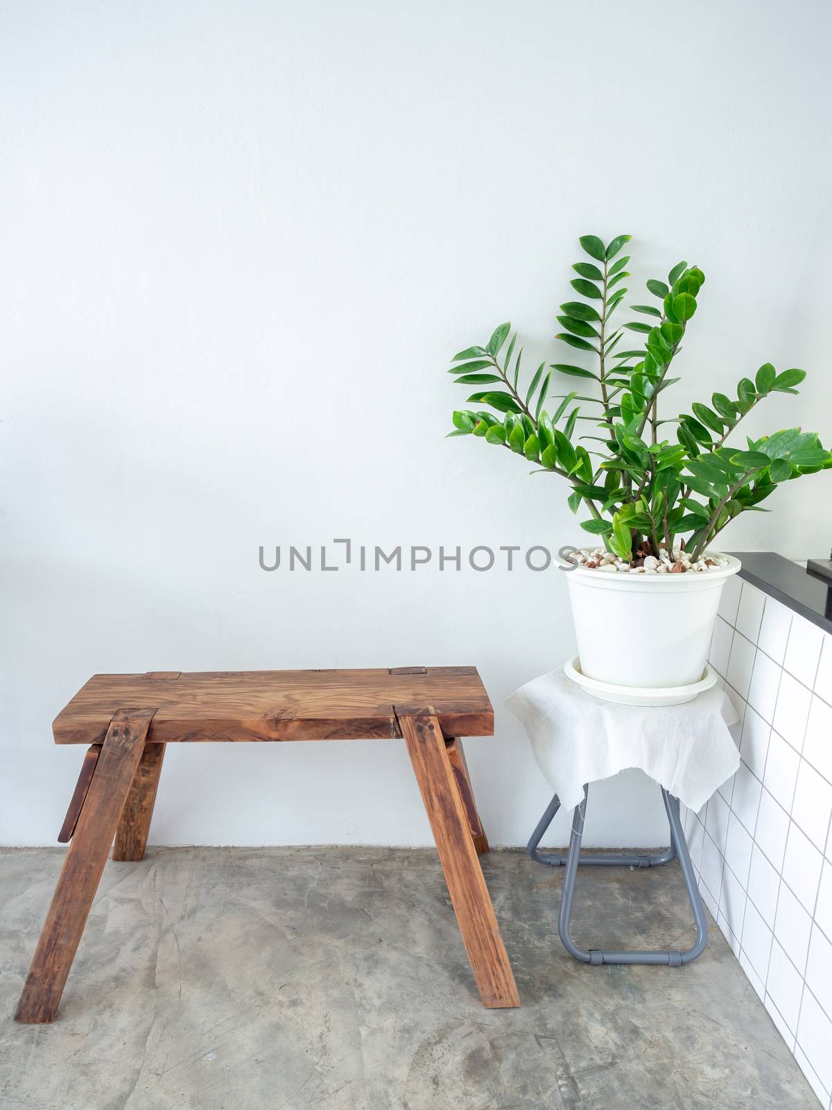 White cafe decoration minimal style. Green leaves in white pot and wooden bench on white wall background vertical style.