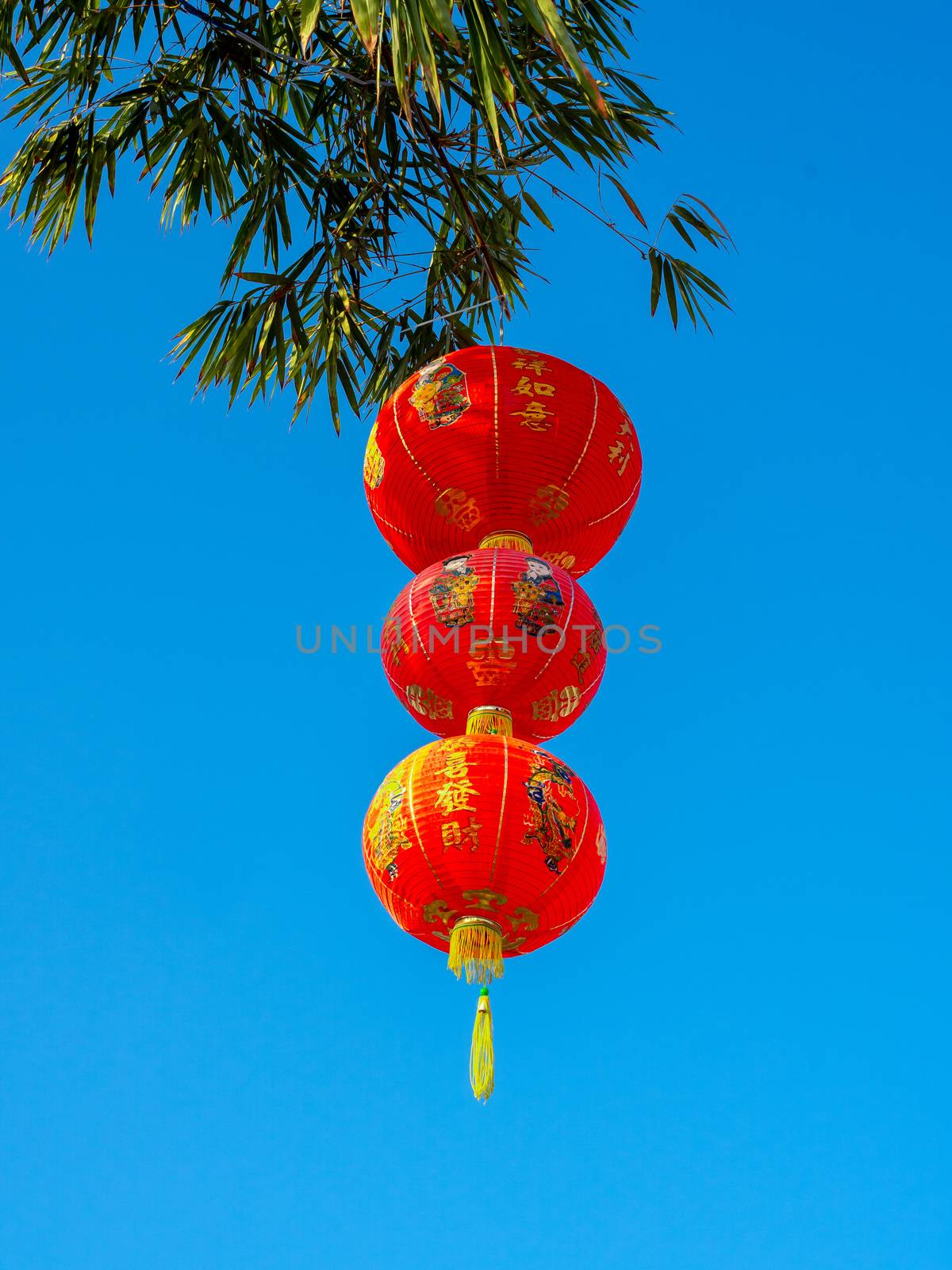 Red Chinese hanging lanterns on bamboo tree on blue sky background,  decoration for Chinese New Year vertical style. The text on lantern is meant as a greeting.