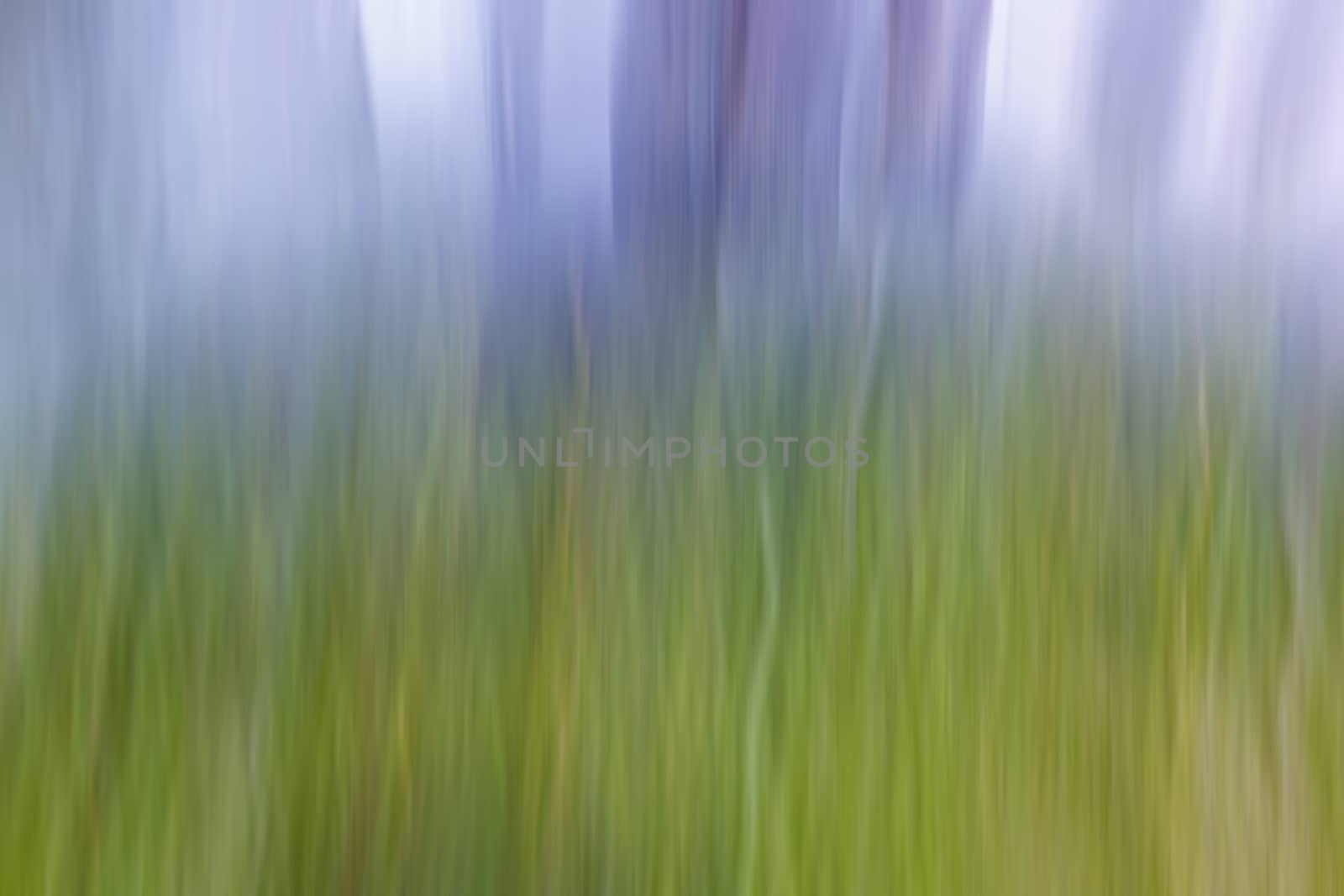 Blurry grass gradient background illustration with green yellow and purple color for designers and illustrators