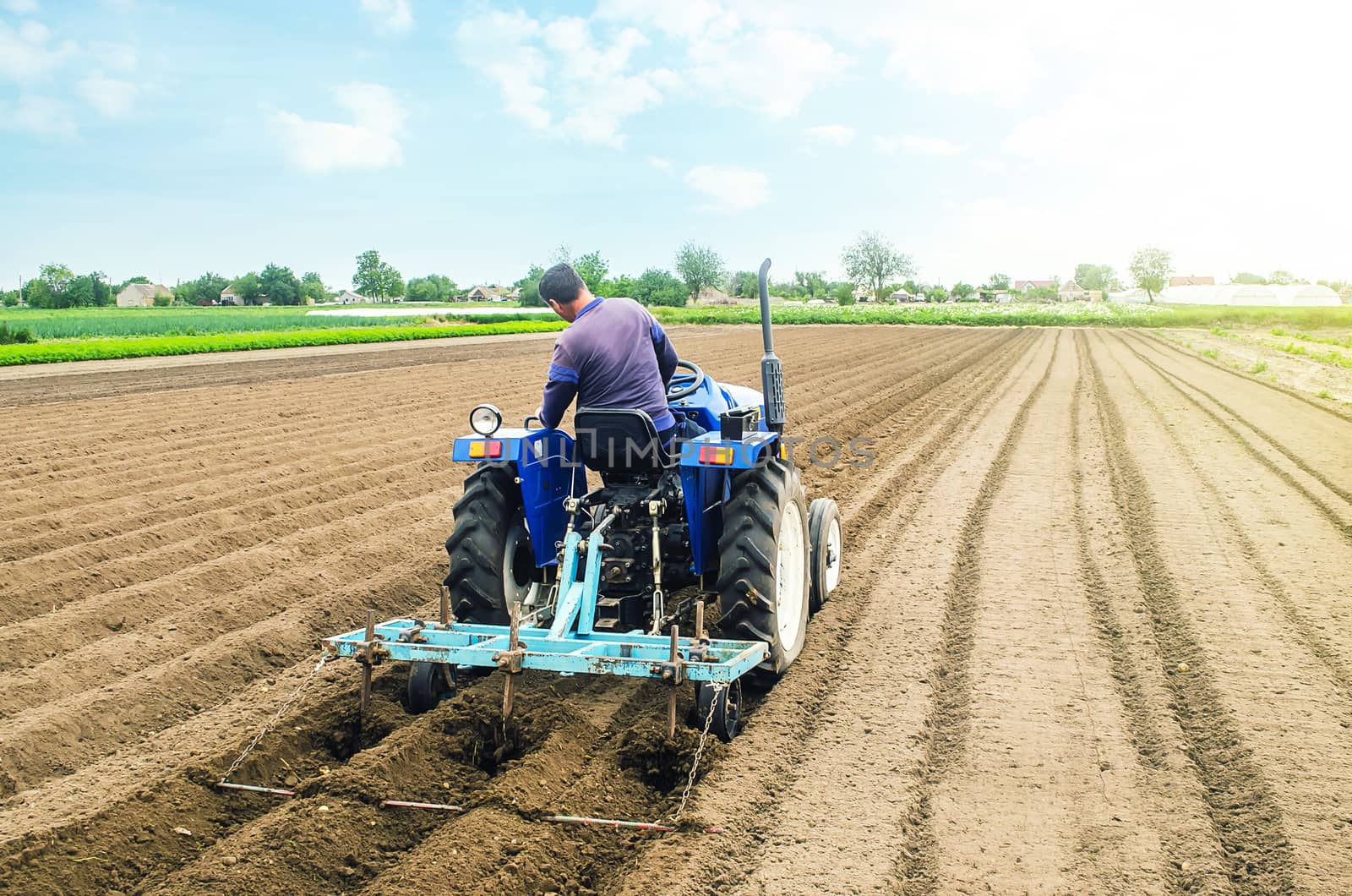 Farmer on a tractor making rows on a farm field. Preparing the land for planting future crop plants. Cultivation of soil for planting. Agroindustry, agribusiness. Farming, farmland.