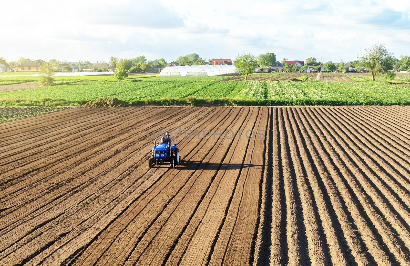 Farmer on a tractor cultivates land after harvesting. Mechanization, development of agricultural technologies. Grinding loosening plowing crumbling soil for further sowing by cultivated plants.